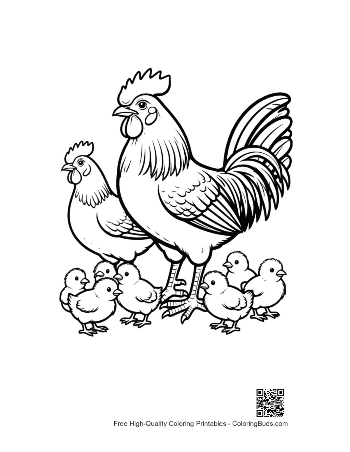 หน้าสำหรับระบายสี ไก่ตัวผู้และไก่ตัวเมียกับลูกไก่