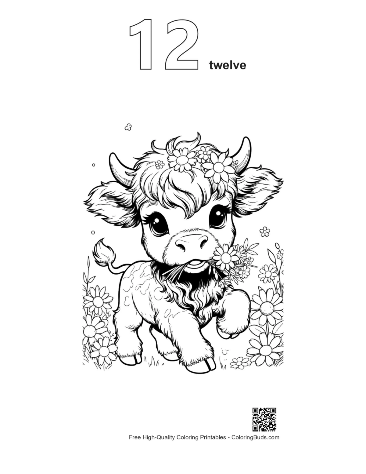 Highland cow flower outline numbered 12 printable