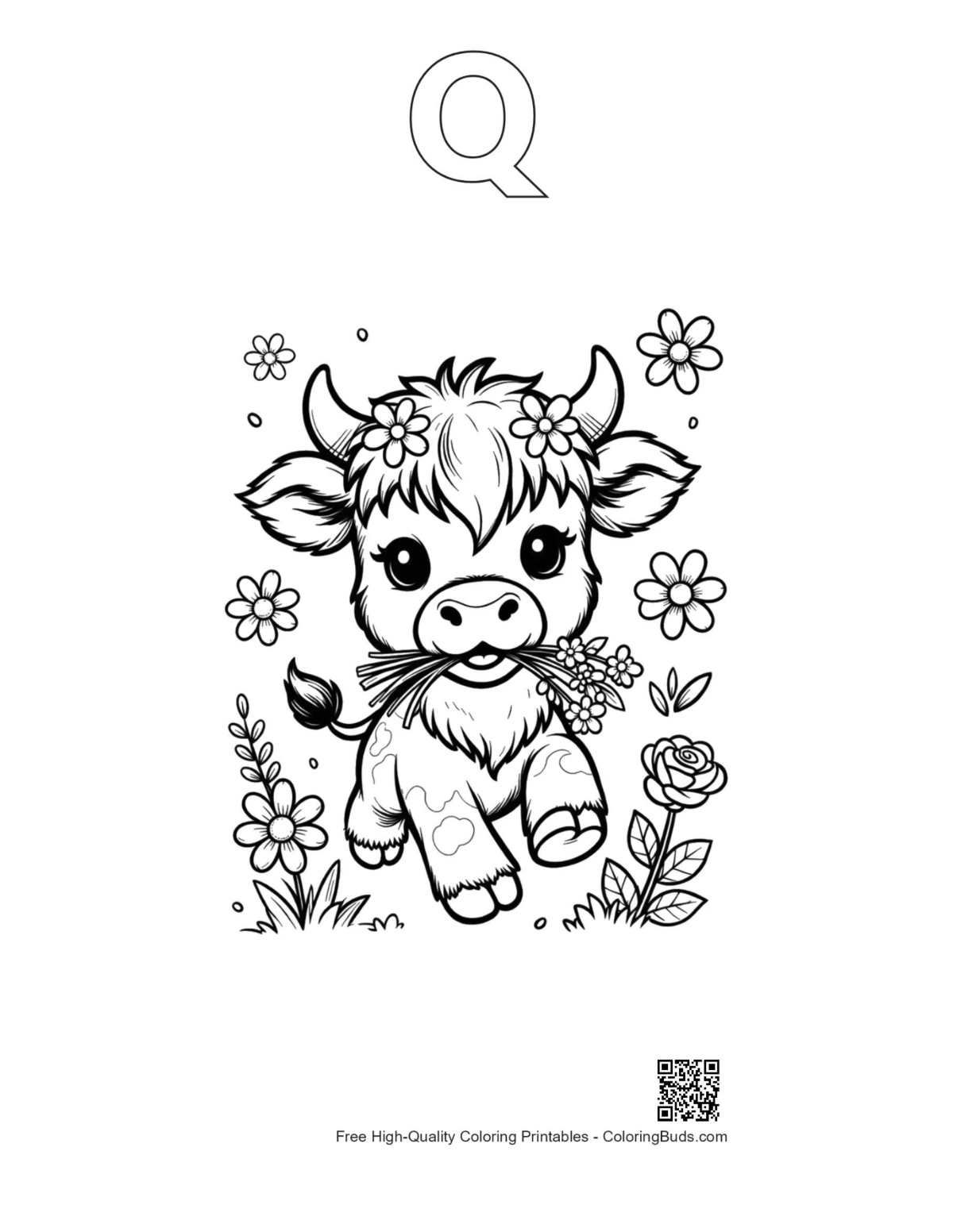 Highland cow calf flower printable with Q outline