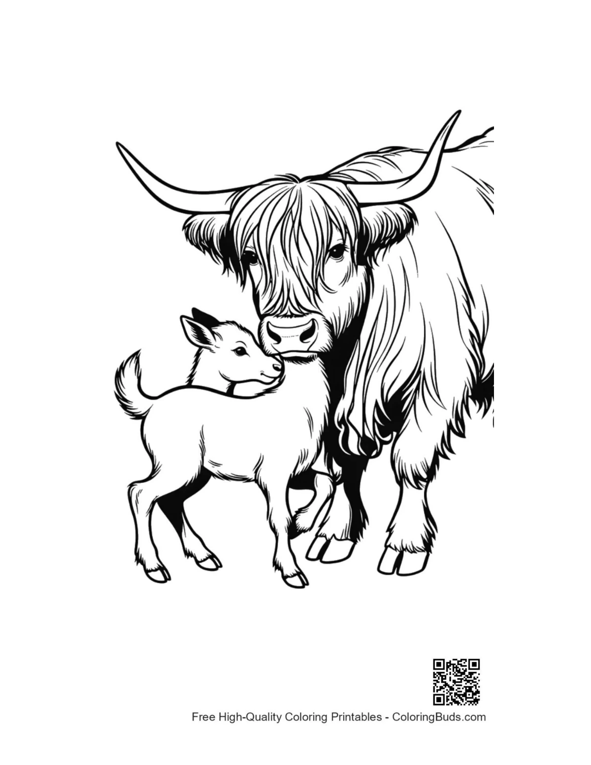 Highland cow and calf embrace coloring page