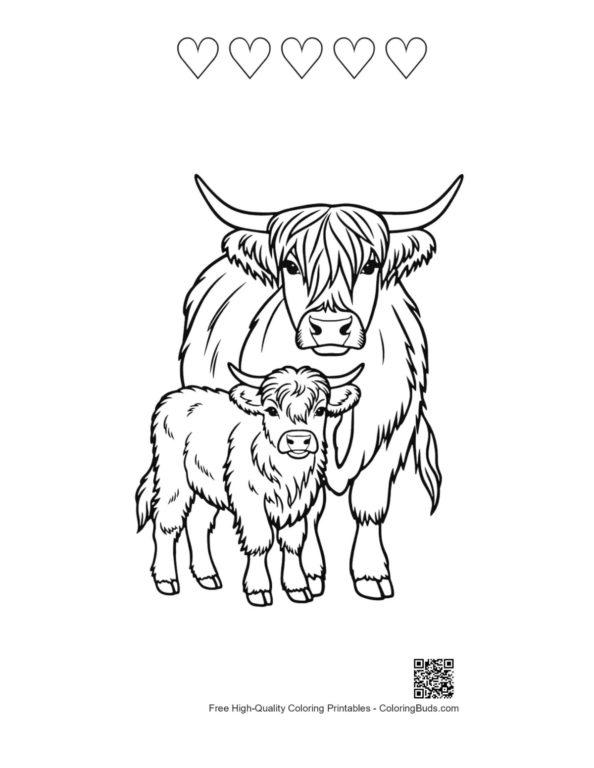 Highland cow calf line art with heart outlines