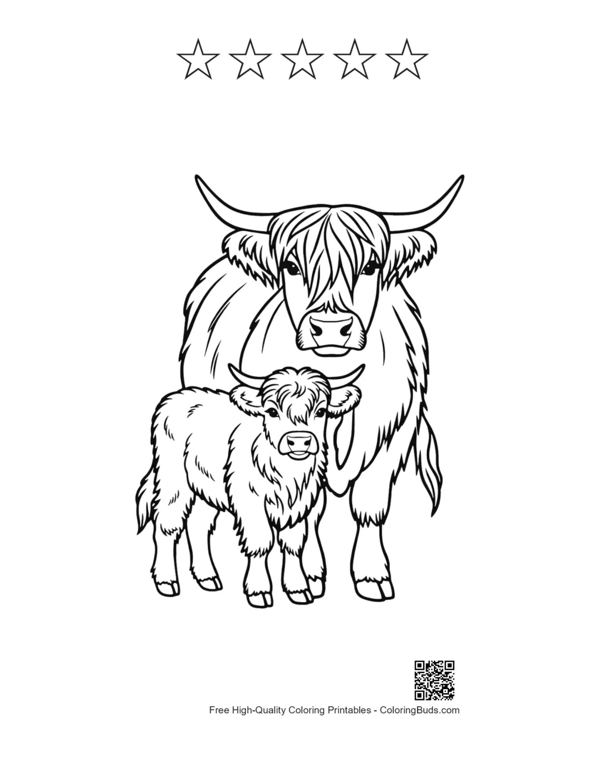 Highland cow calf printable with 5 stars outline