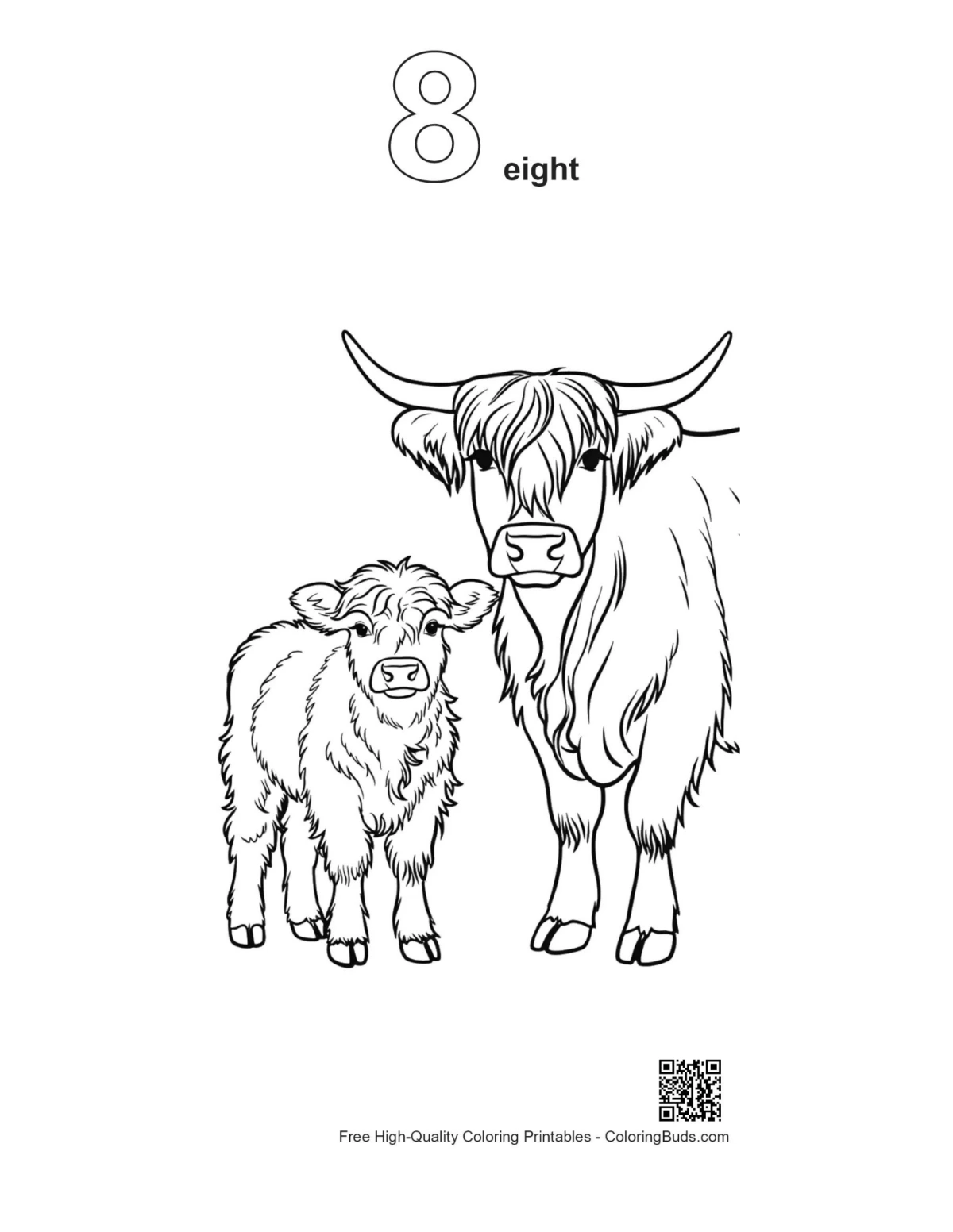 Highland Cow calf outline printable number 8