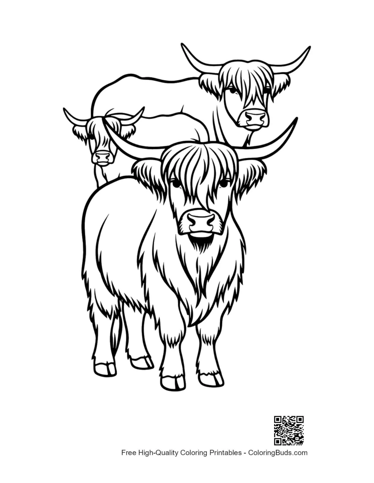 Highland Cow family coloring page illustration