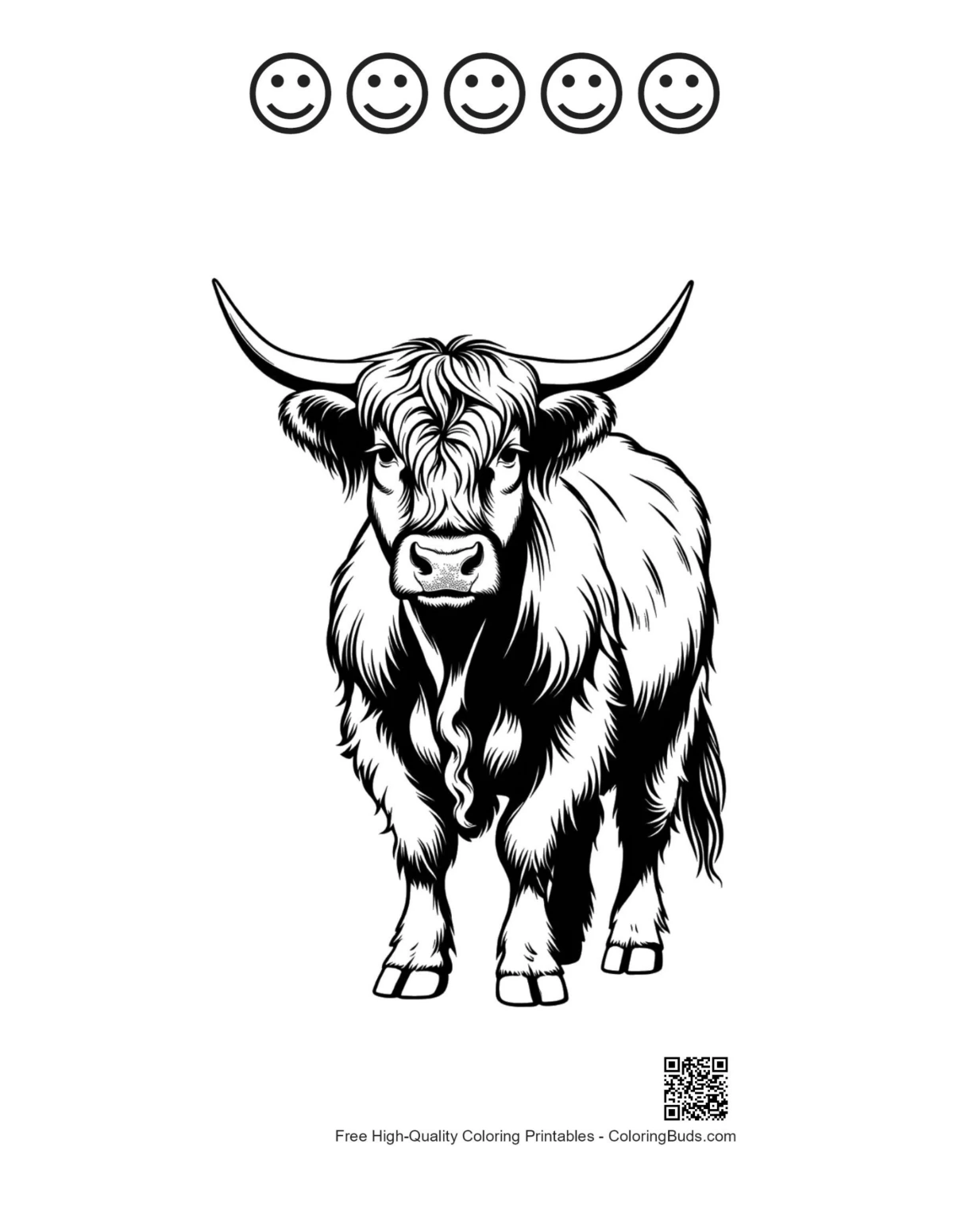 Highland Cow Portrait with happy faces