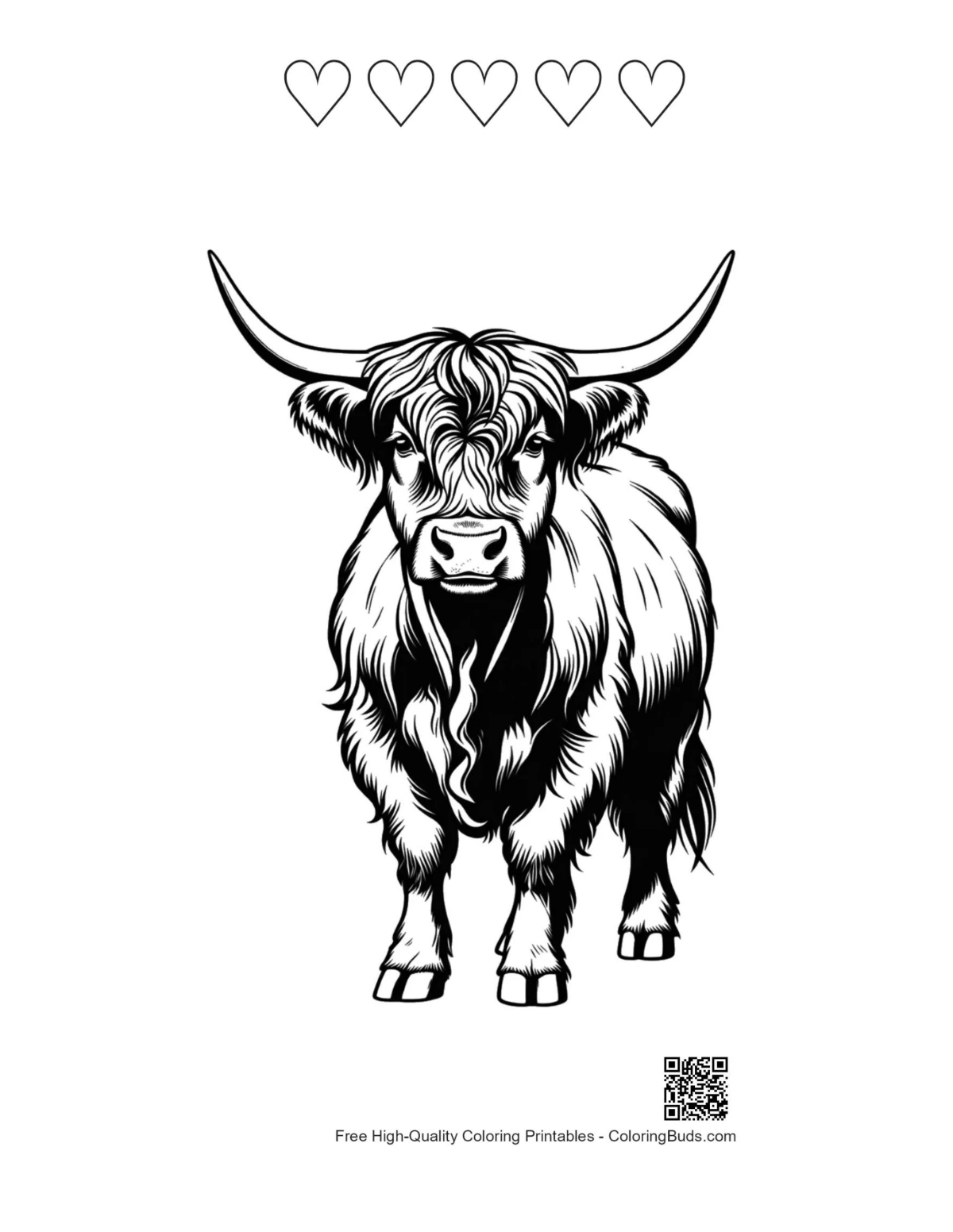 Highland Cow Portrait with heart outlines