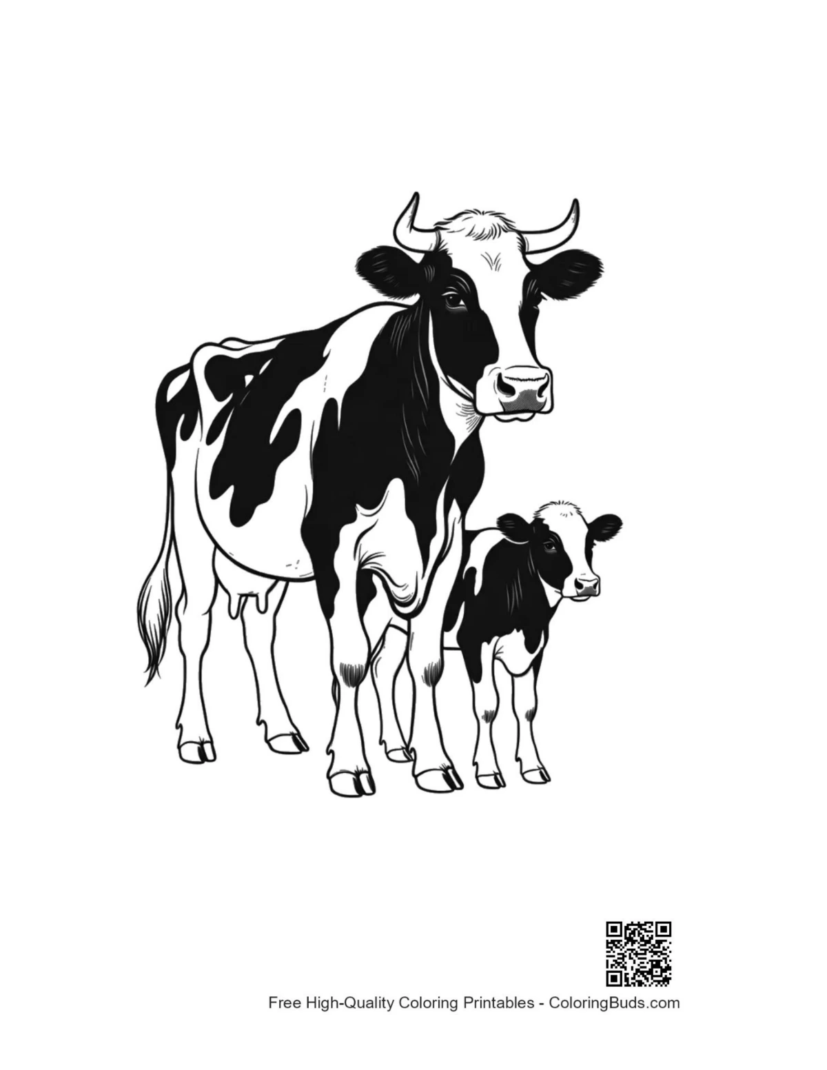Cute Holstein cow mom and calf coloring page