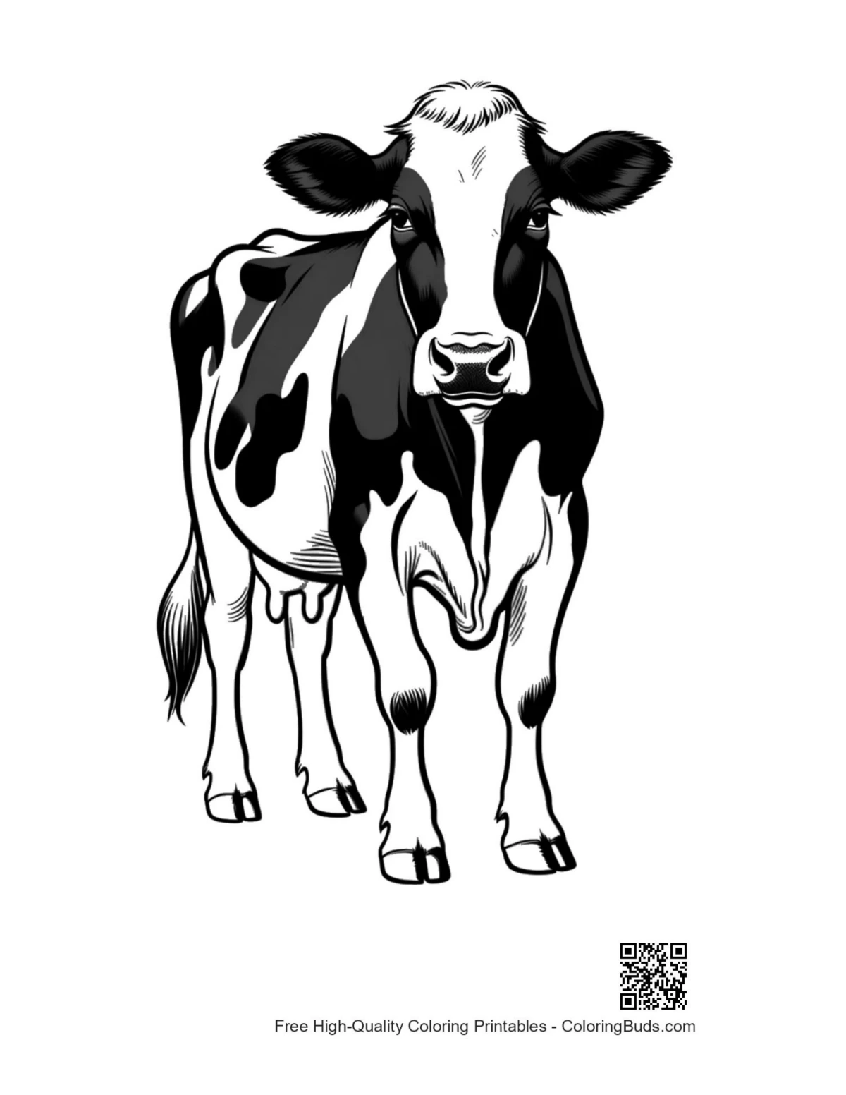 Standing Holstein Cow portrait coloring page