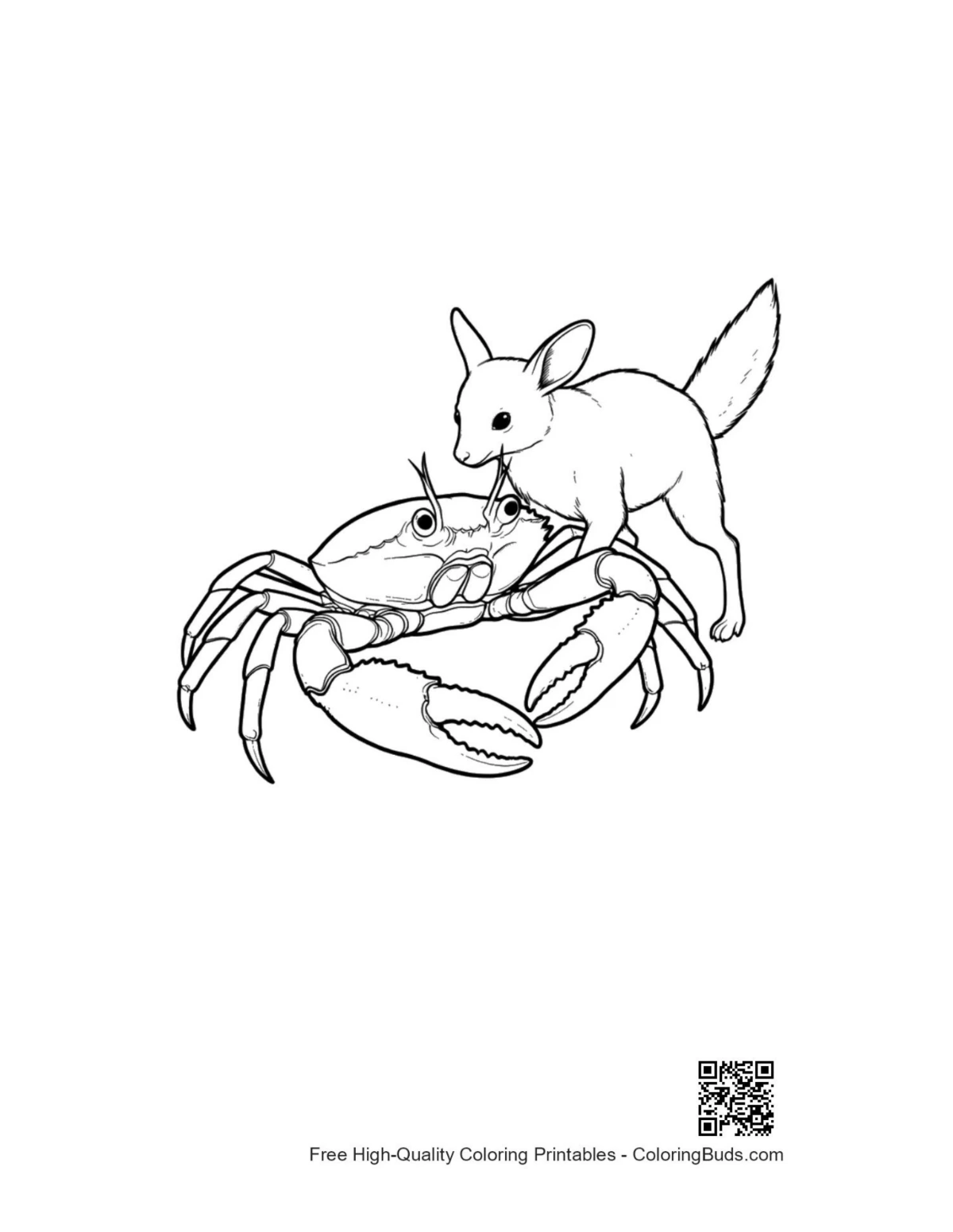 Fennec Fox tackling Red Crab coloring page
