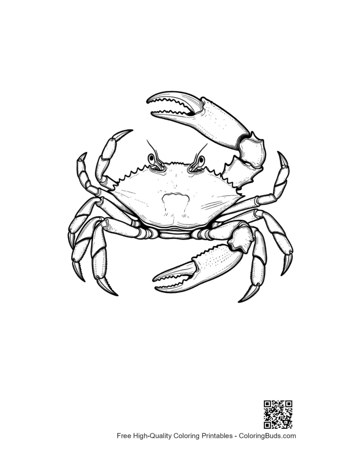 Intimidating red crab line art printable