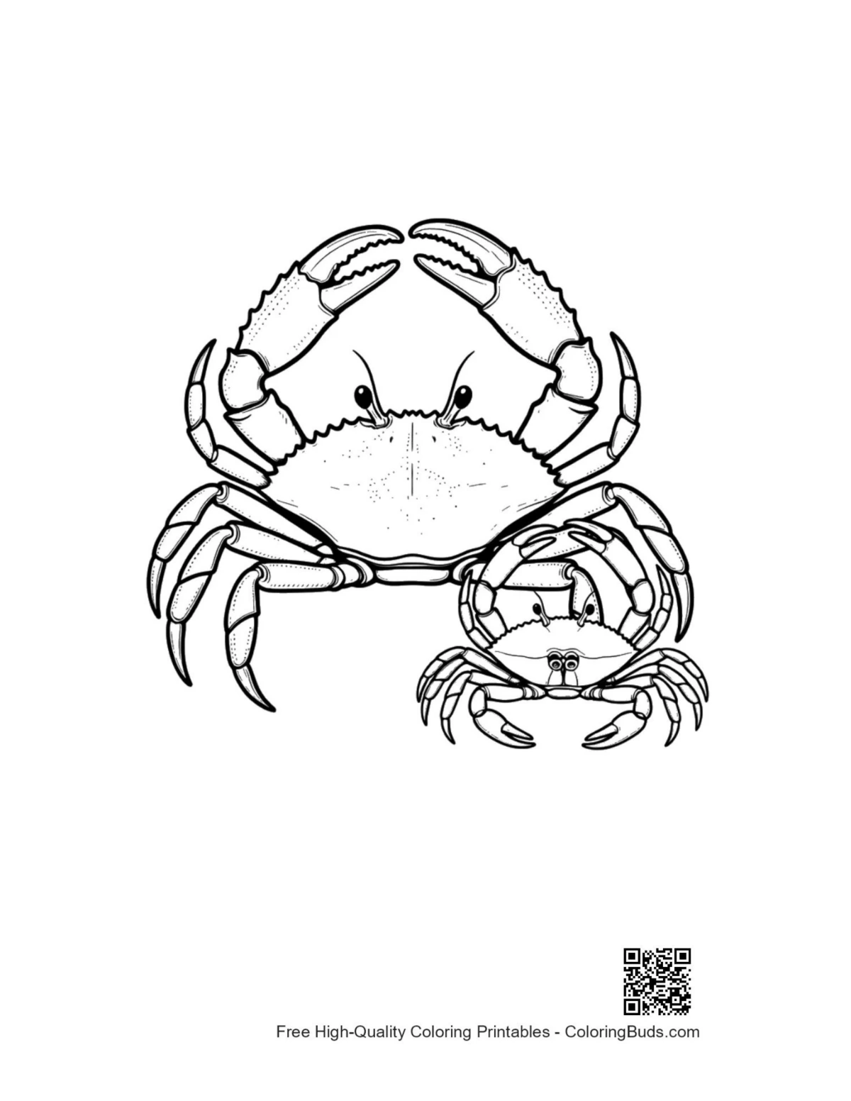 Red crab mother and baby line art