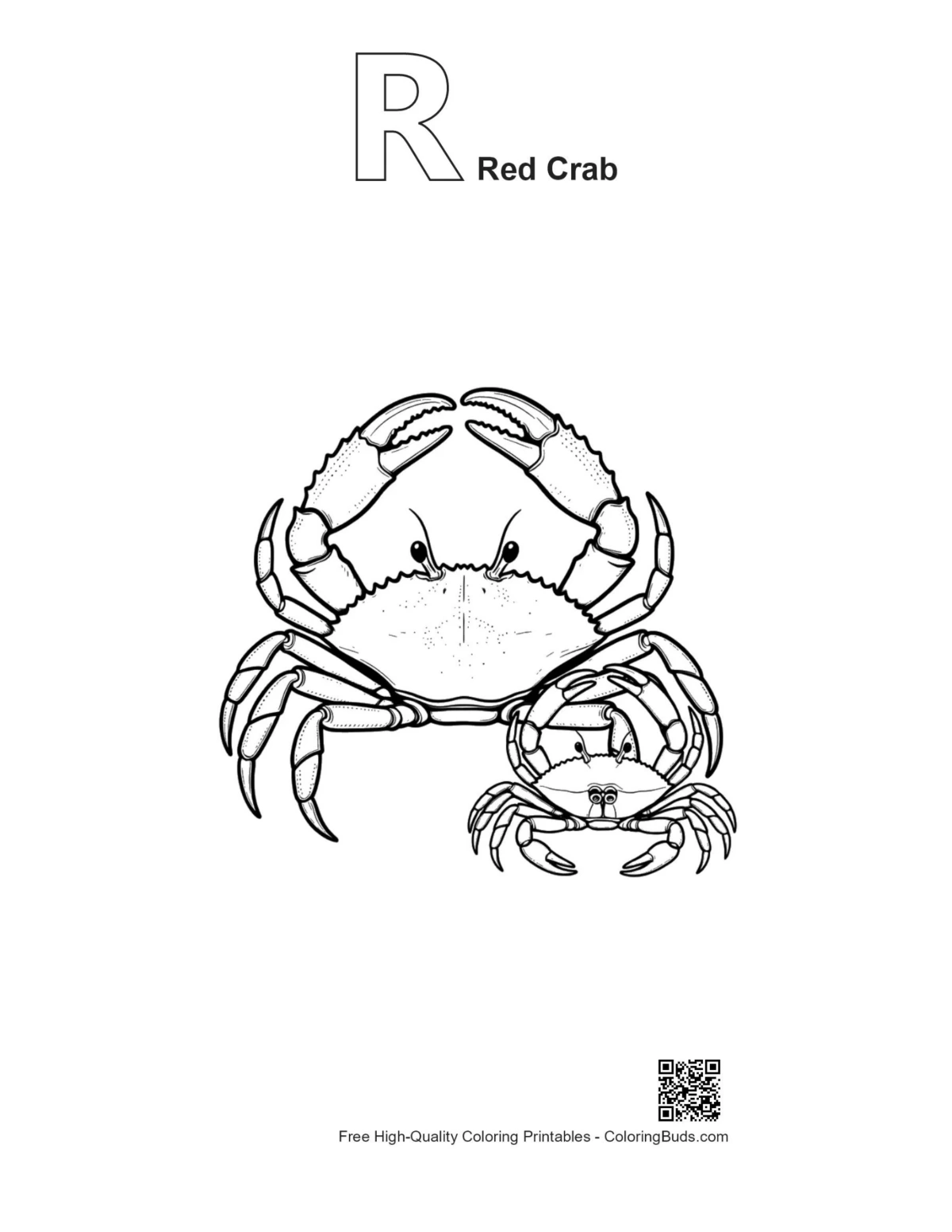 Red crab line art with alphabet R outline