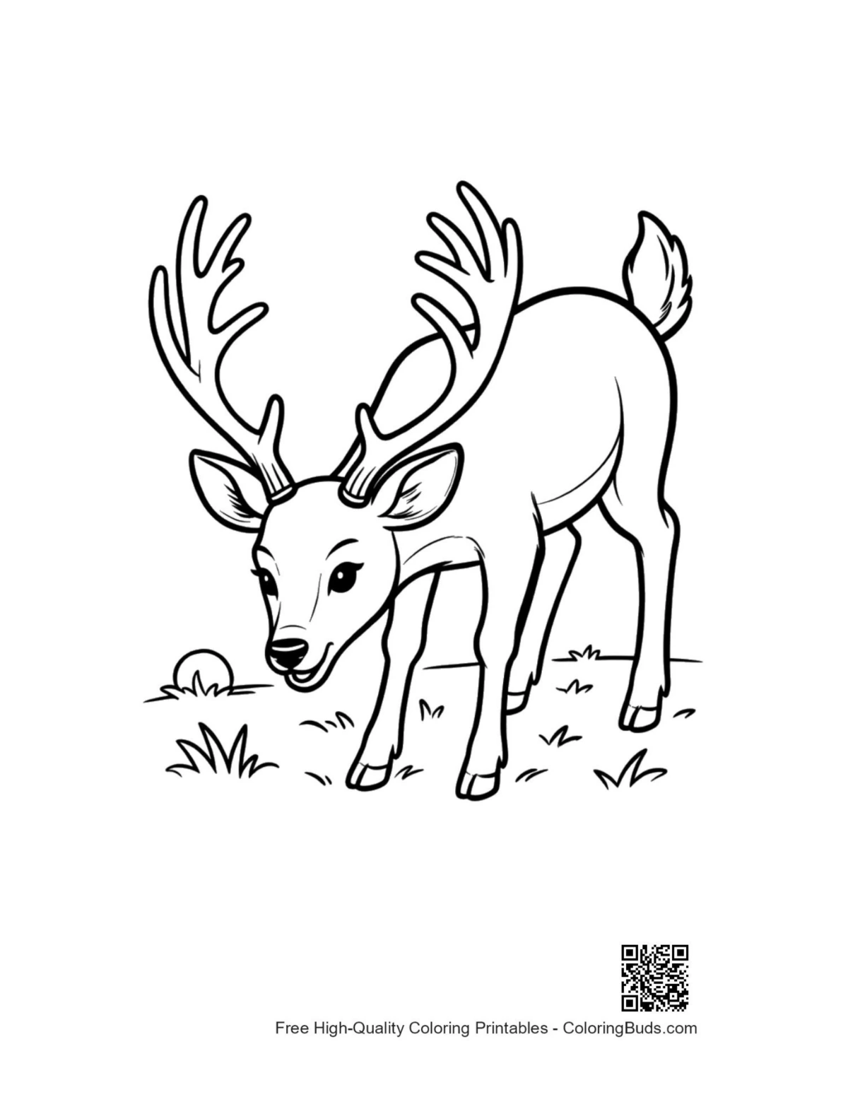 Handsome buck antlers looking back woods printable