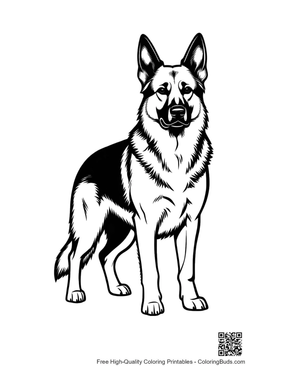 Aufmerksamer Deutscher Schäferhund steht stolz da