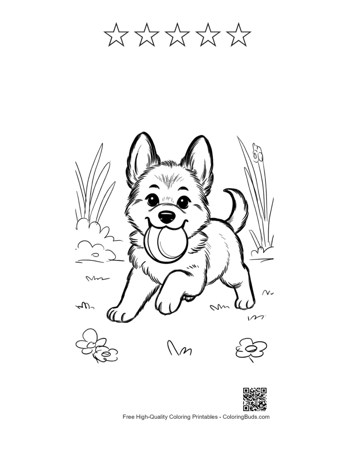 Becgie printable with 5 star outlines