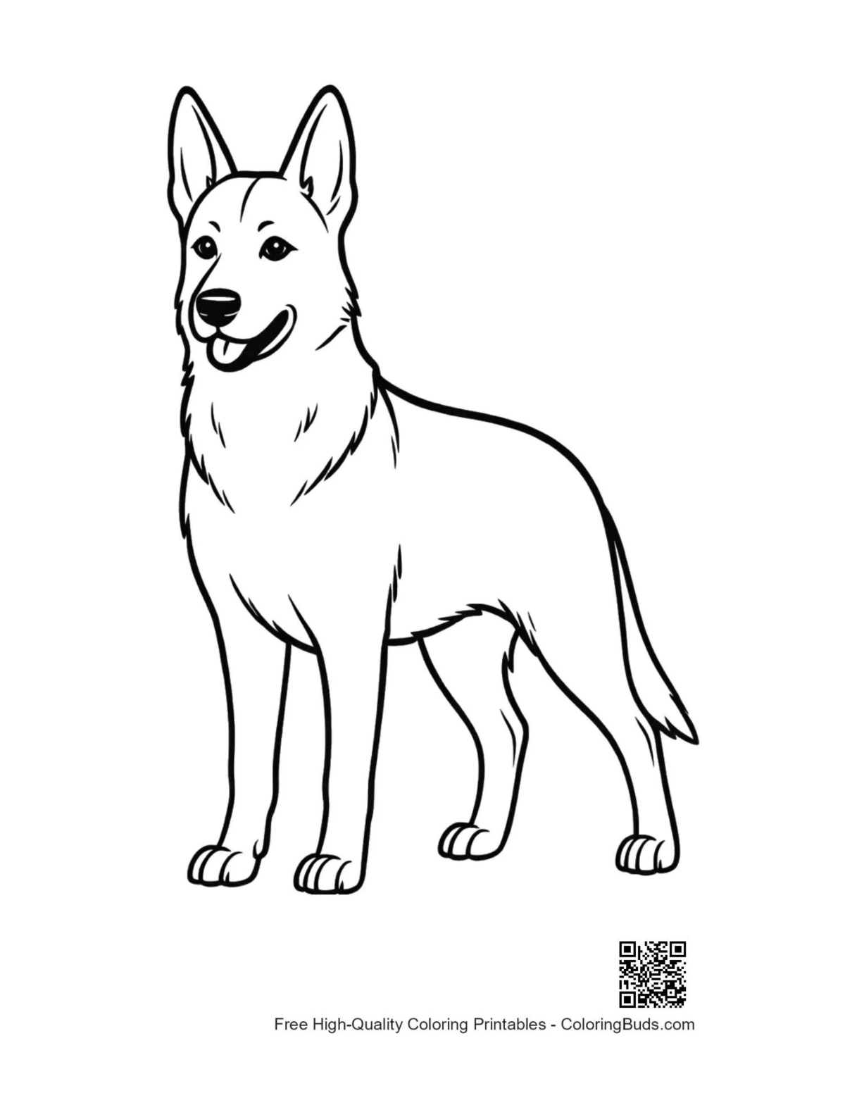 Cheerful German Shepherd standing proudly