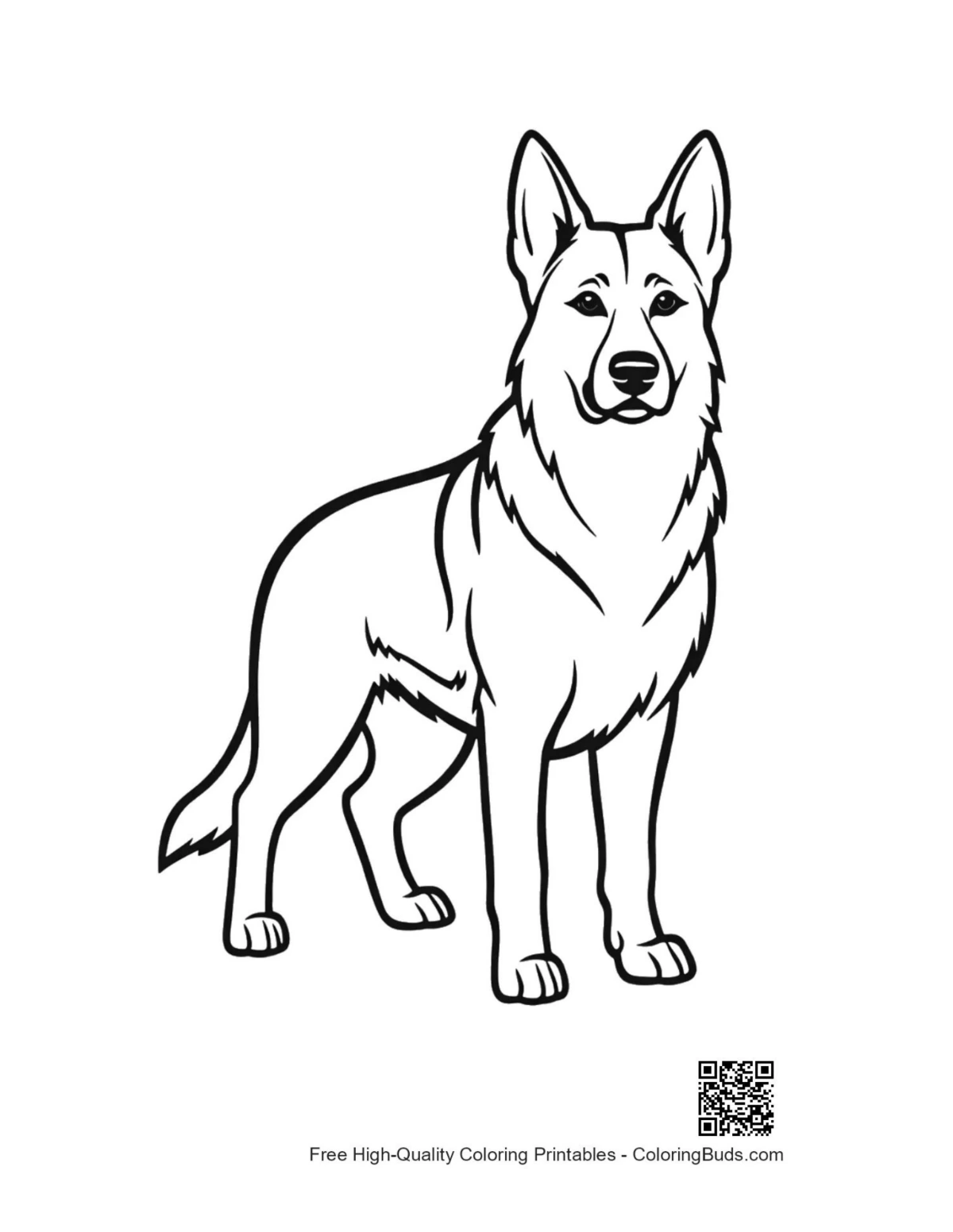 Line art outline of standing German Shepherd dog