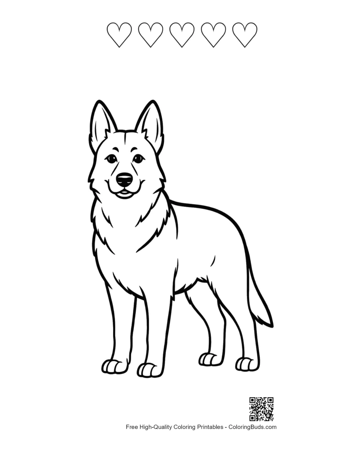 Becgie German Shepherd with heart outlines