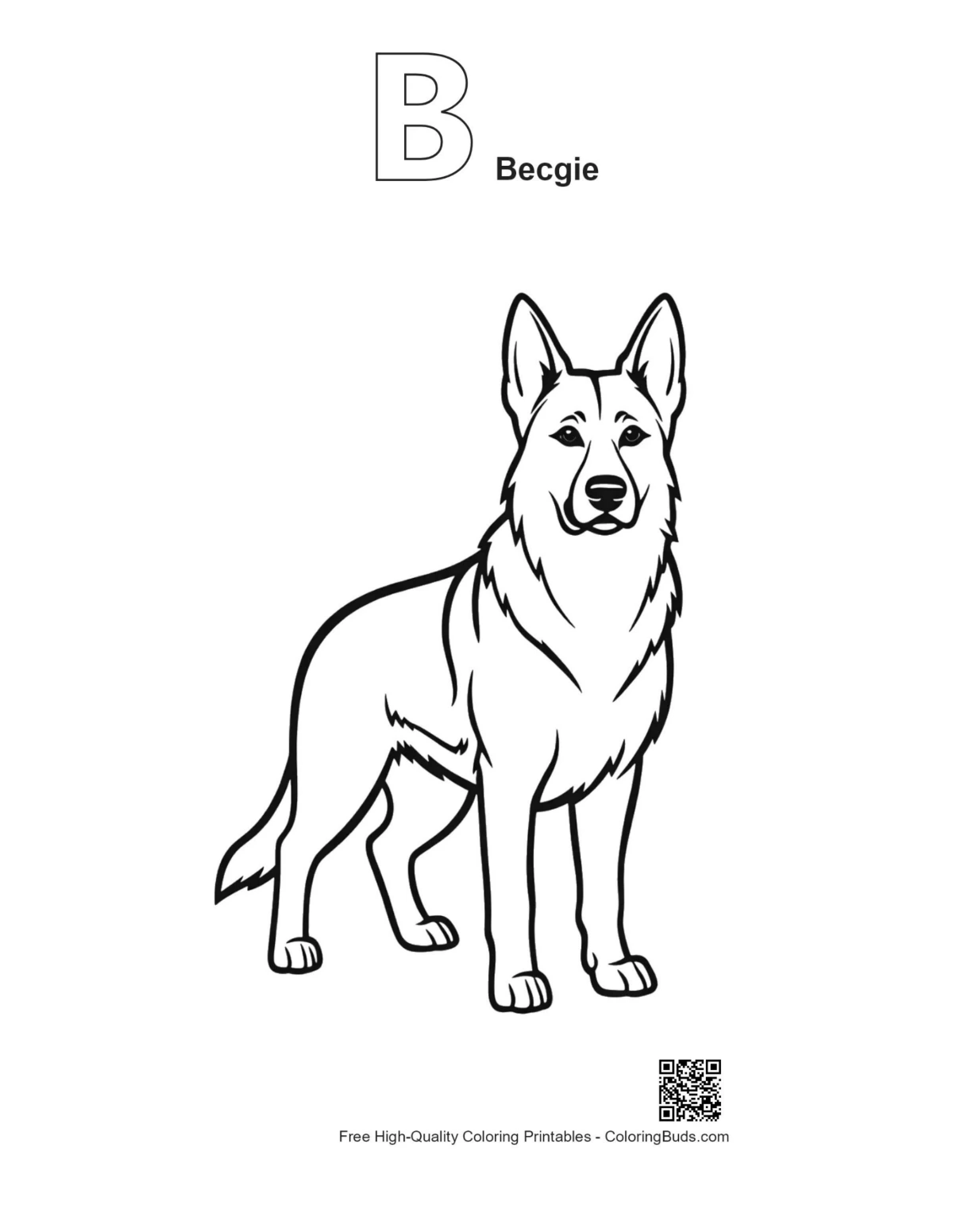 Becgie line art printable with alphabet B outline