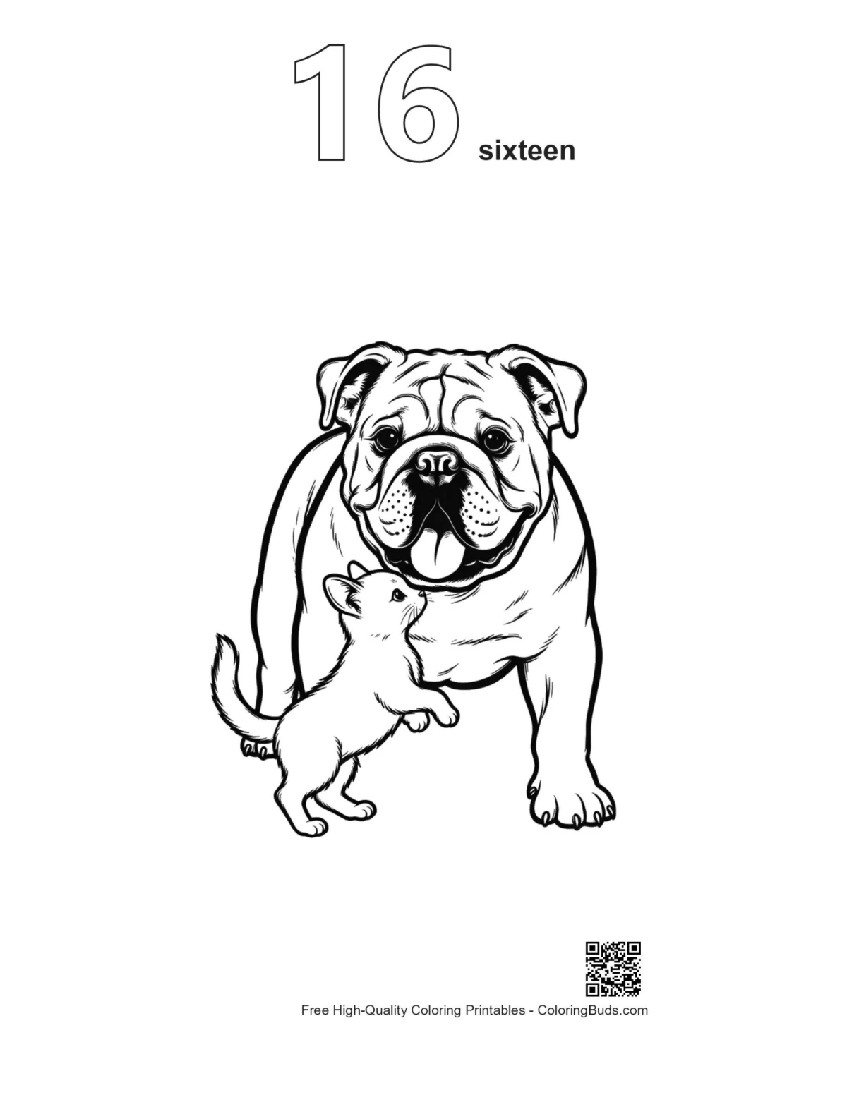 Number 16 outline of bulldog and kitten friends