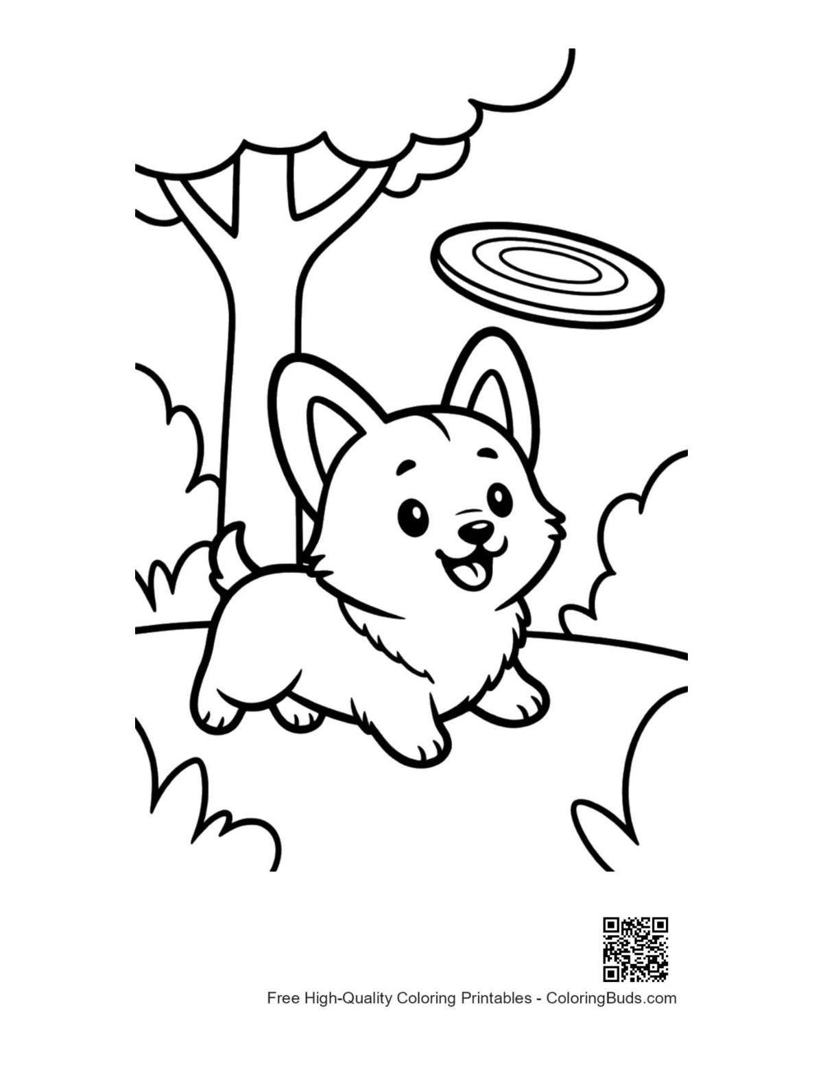 Cute corgi puppy watching flying disc backyard printable