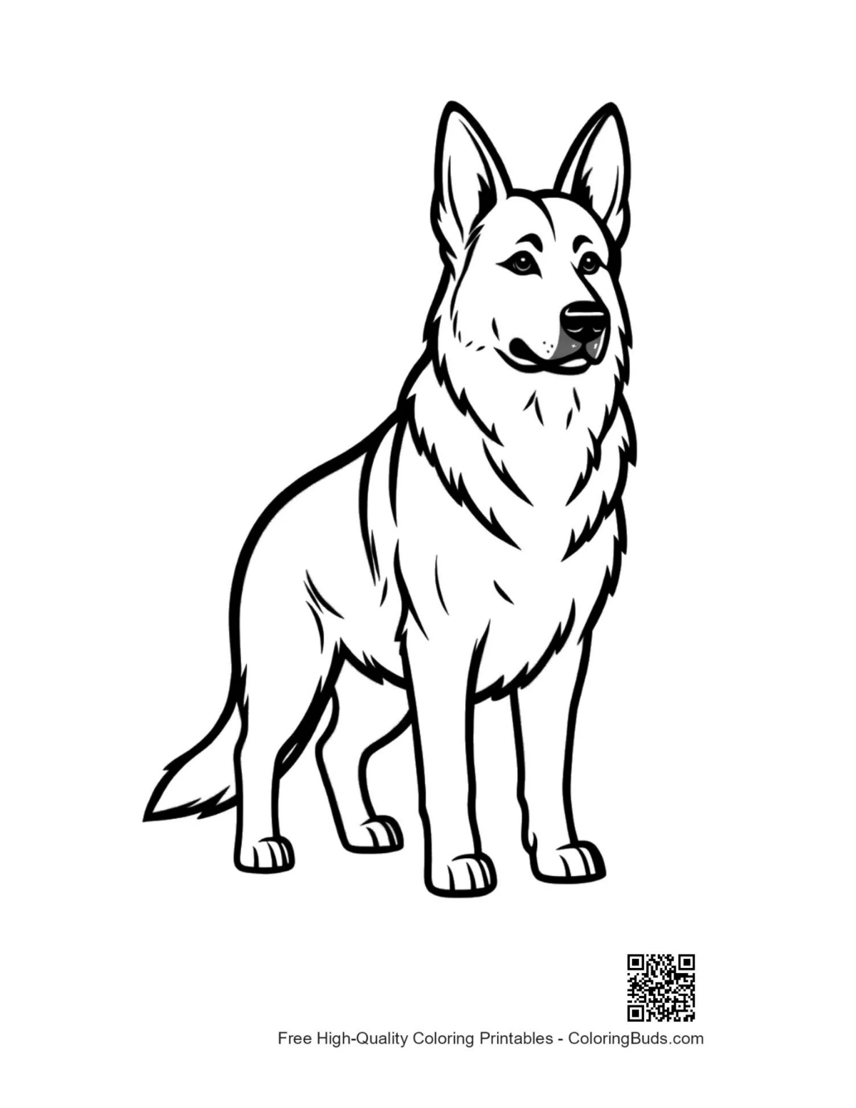 Alert German Shepherd line art outline