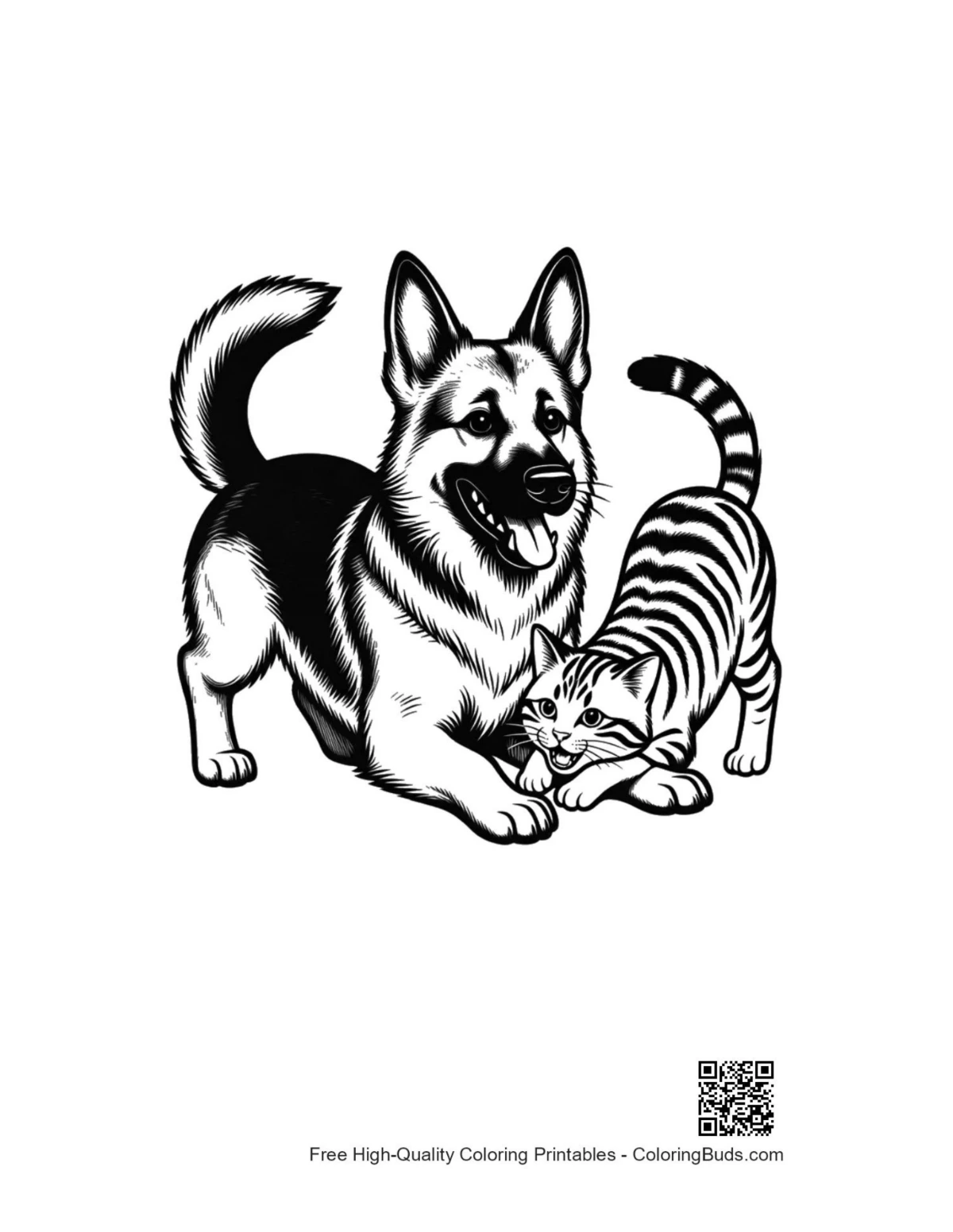 German Shepherd playing with tiger cat