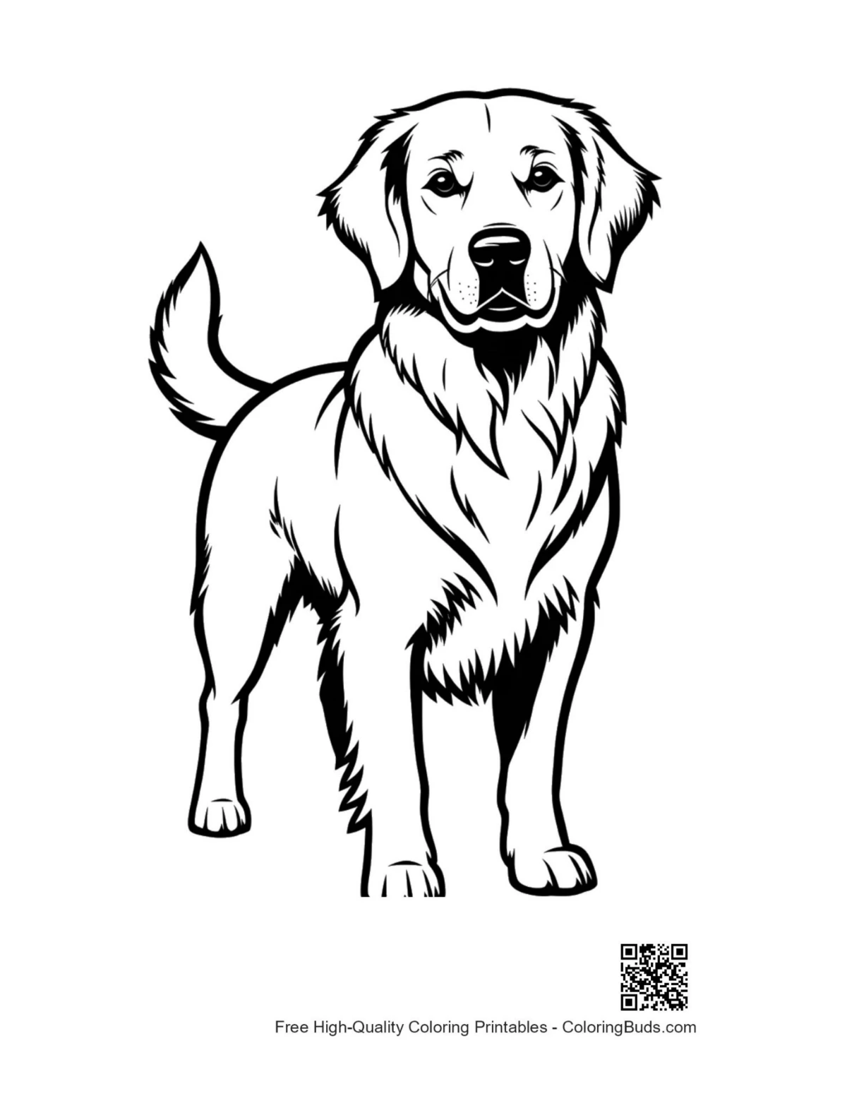 Cheerful golden retriever outline portrait for coloring