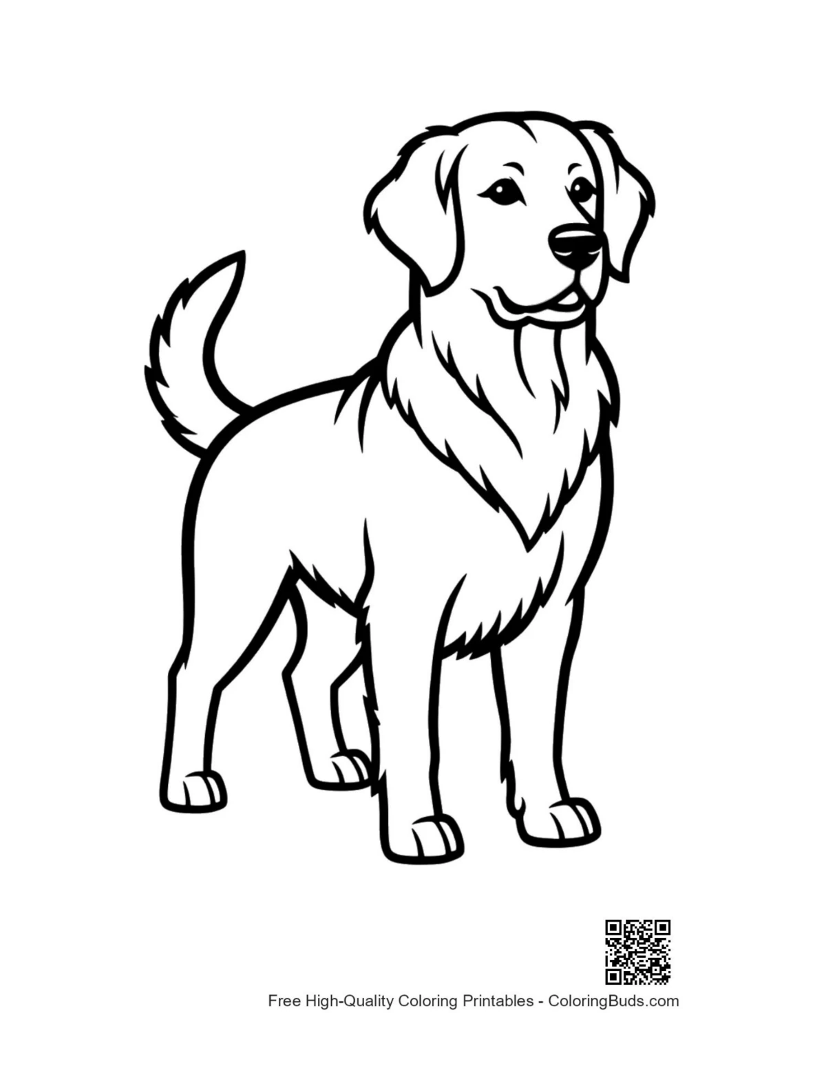 Niedliche Umrisse eines Golden Retrievers