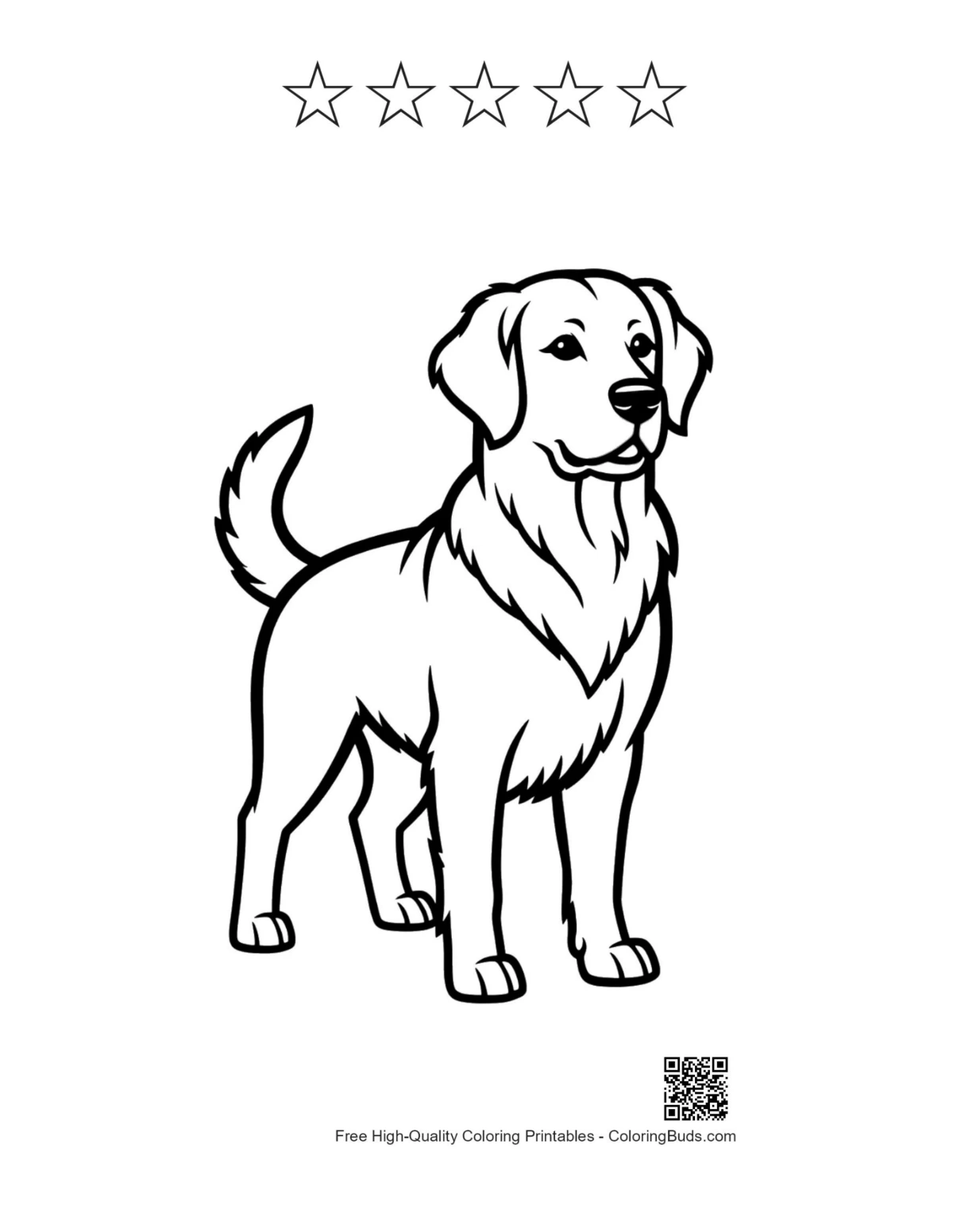 Golden Retriever mit sternförmigen Umrissen