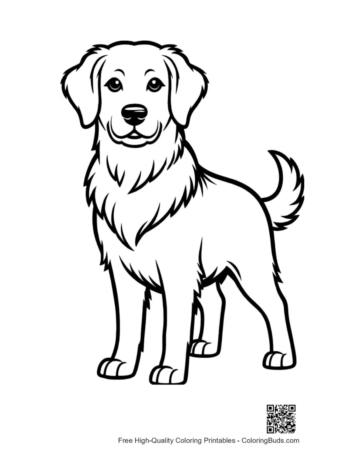 Cute golden retriever outline standing proudly