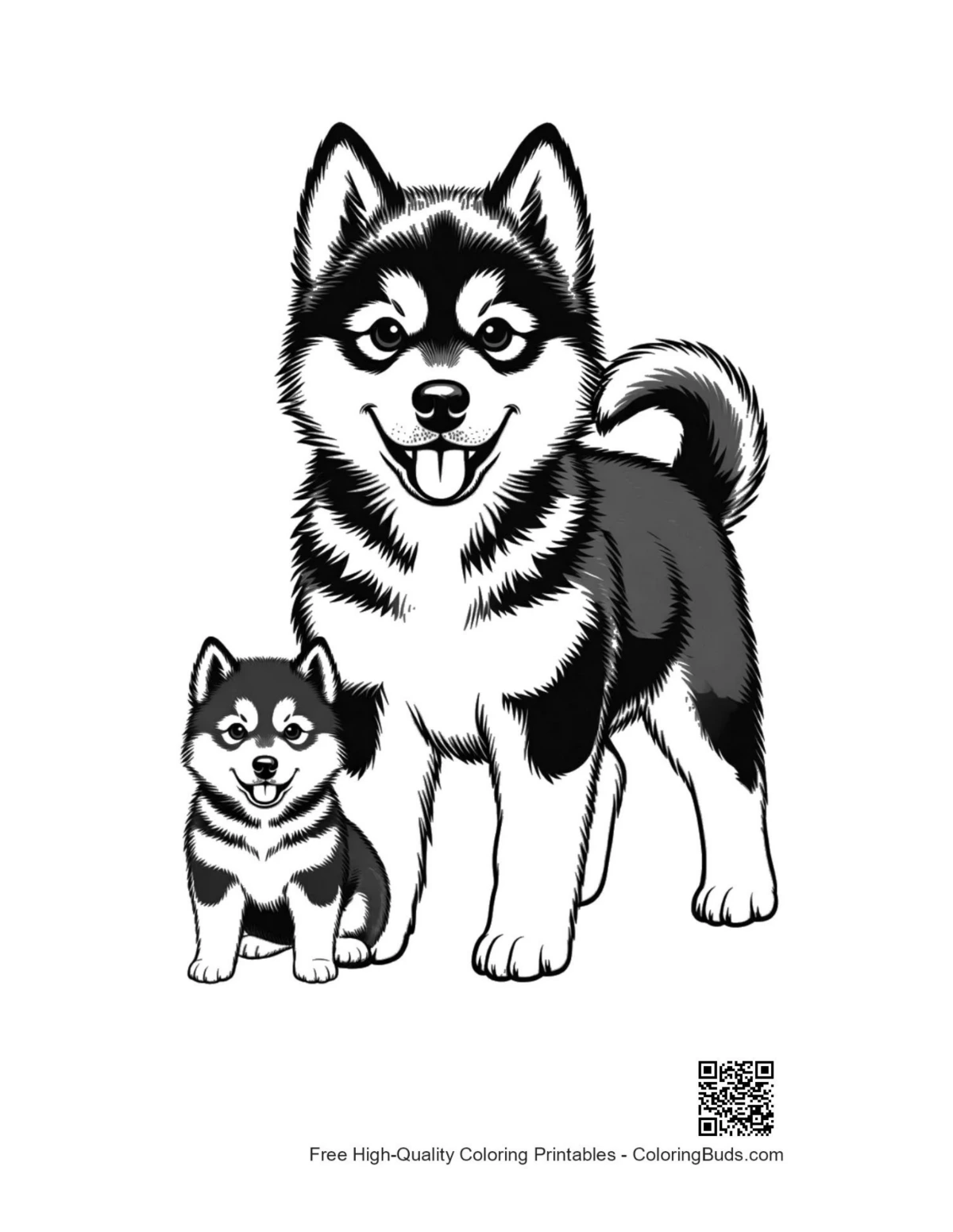 Cute Husky puppy and parent smiling