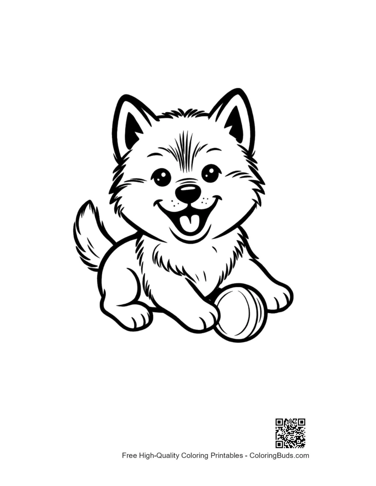 Aranyos kíváncsi husky kölyök labdára néz vonalas