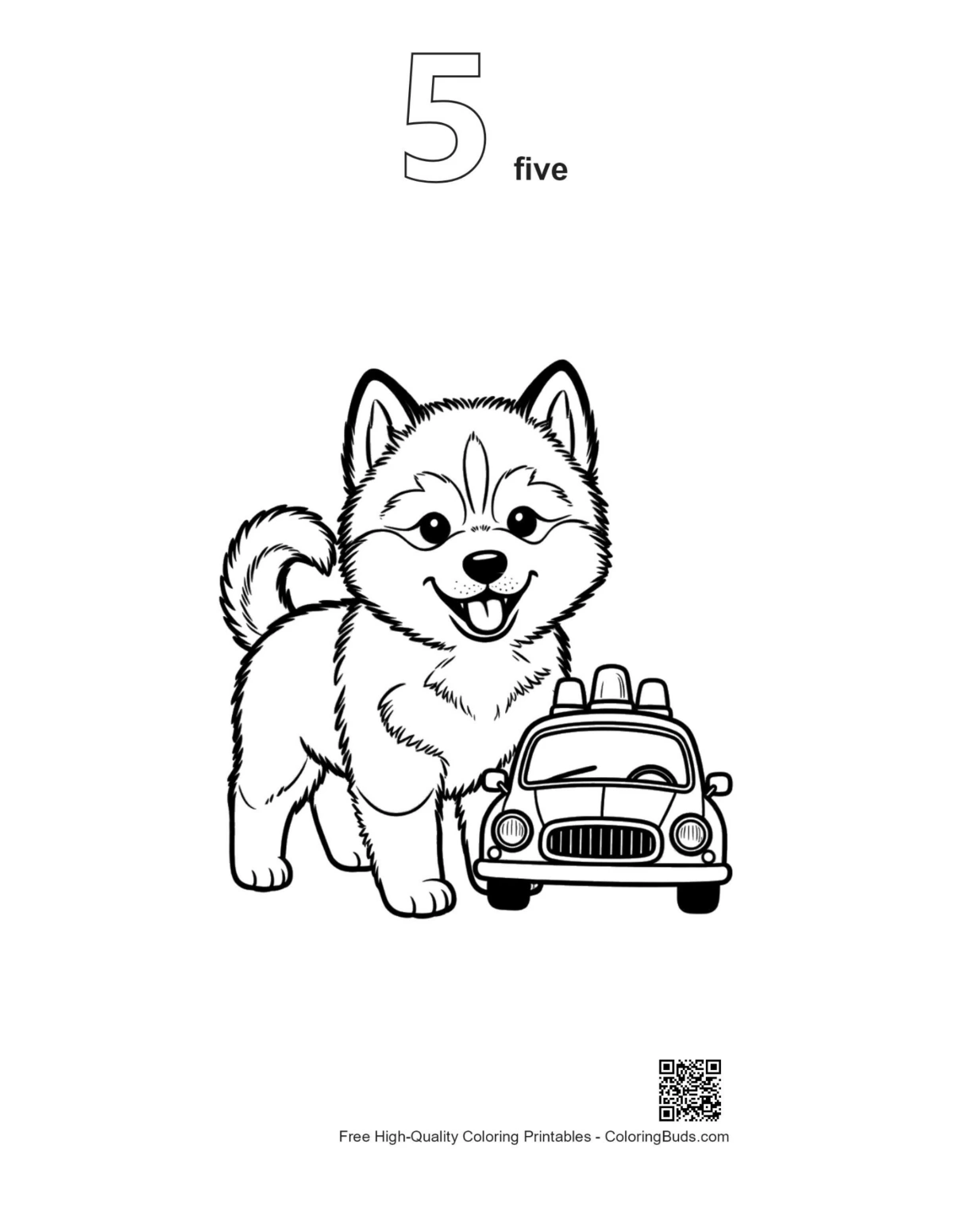 Husky puppy coloring page with 5 outline version