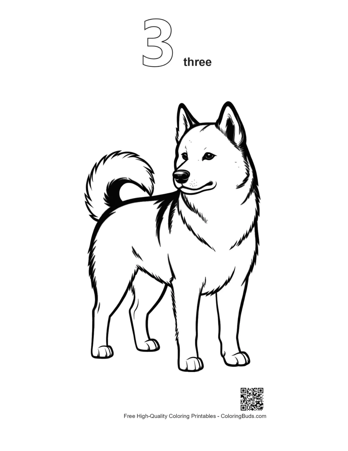 Husky line art printable outline #3