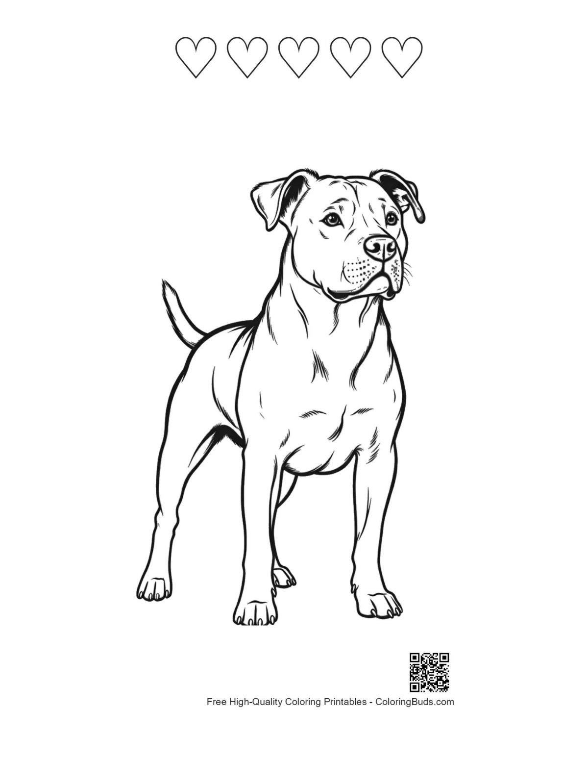 Pitbull hearts printable outline
