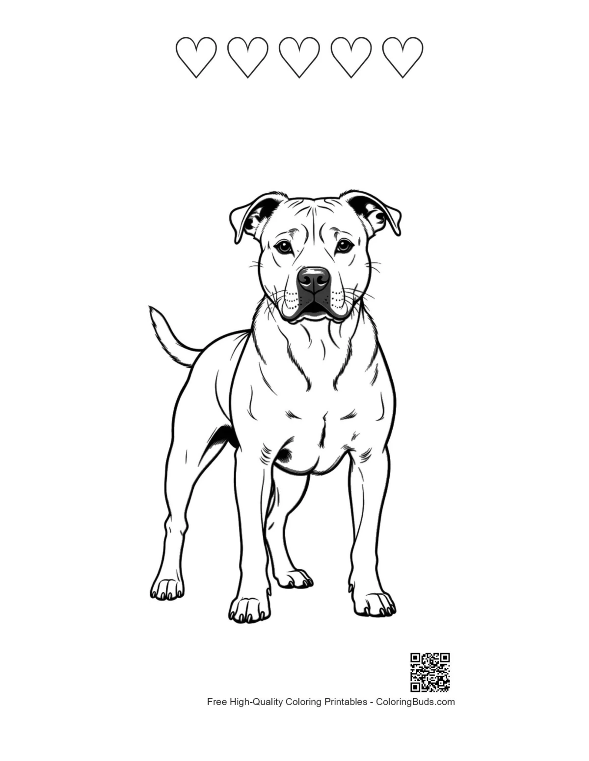 Pitbull hearts outline coloring page
