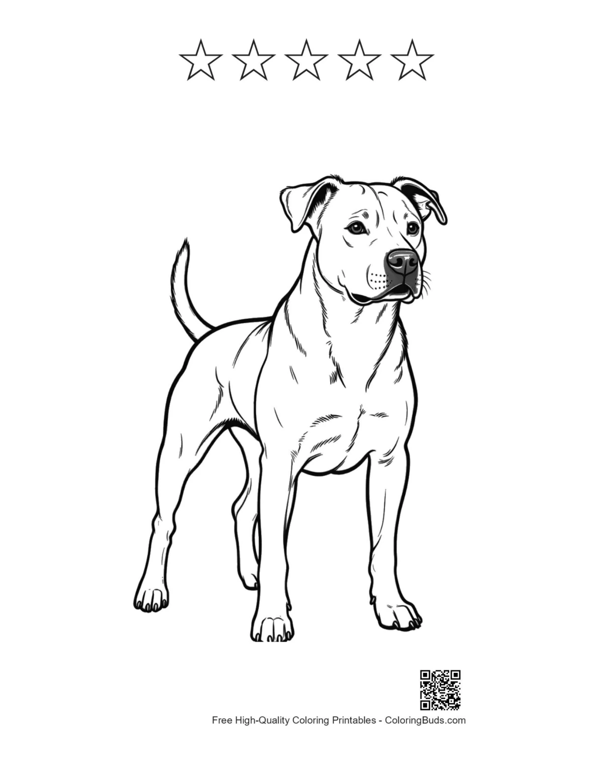 Pitbull printable 5 star outline