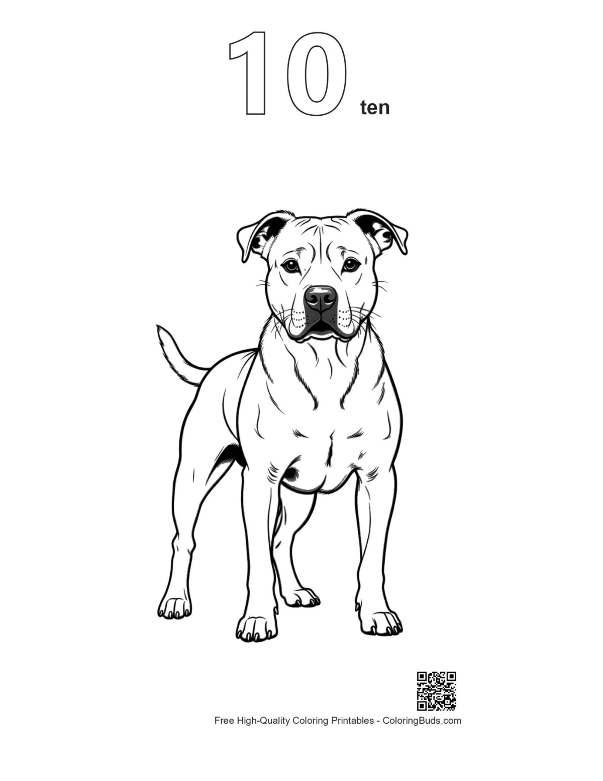 Numbered Pitbull coloring page #10