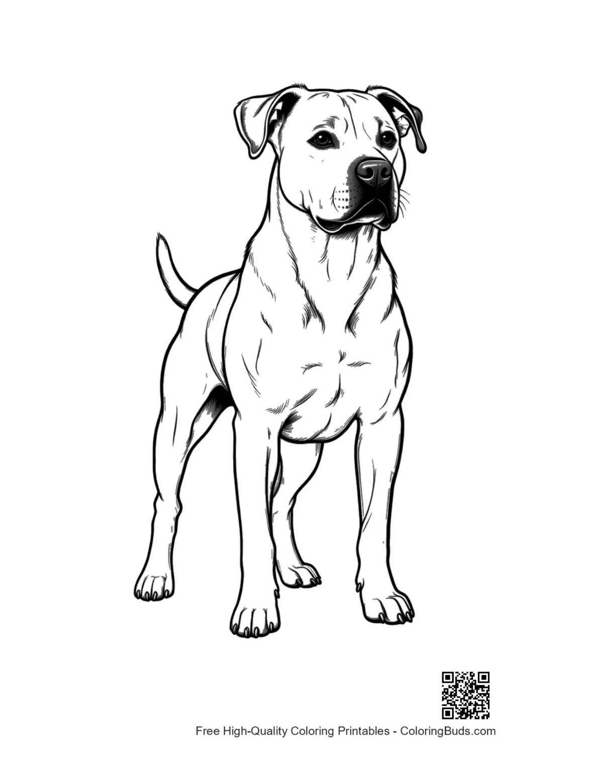 Confident white Pitbull standing proudly dog art