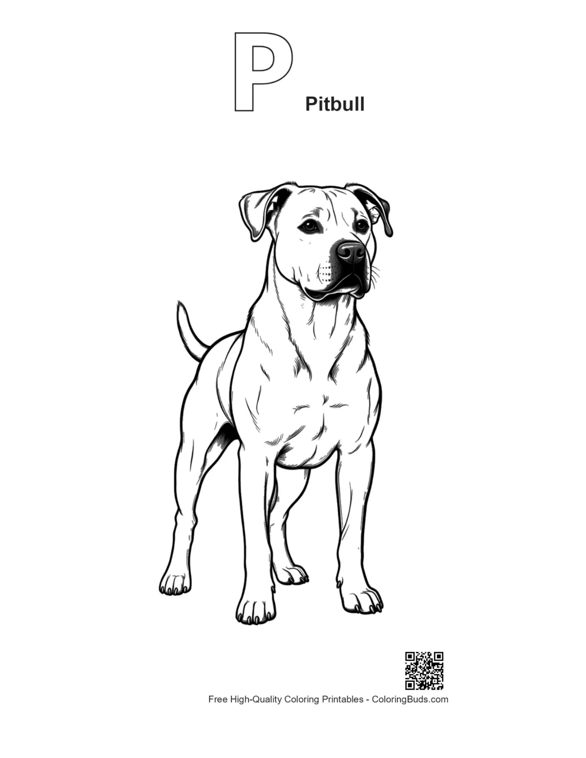 Pitbull outline printable with alphabet P letter