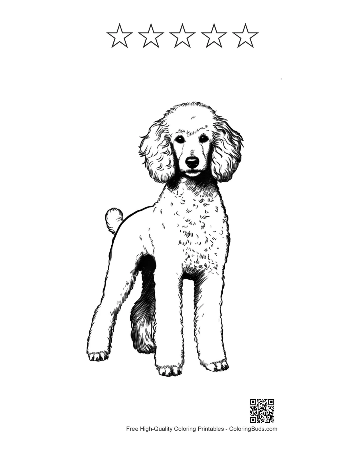Poodle printable with 5 star outlines