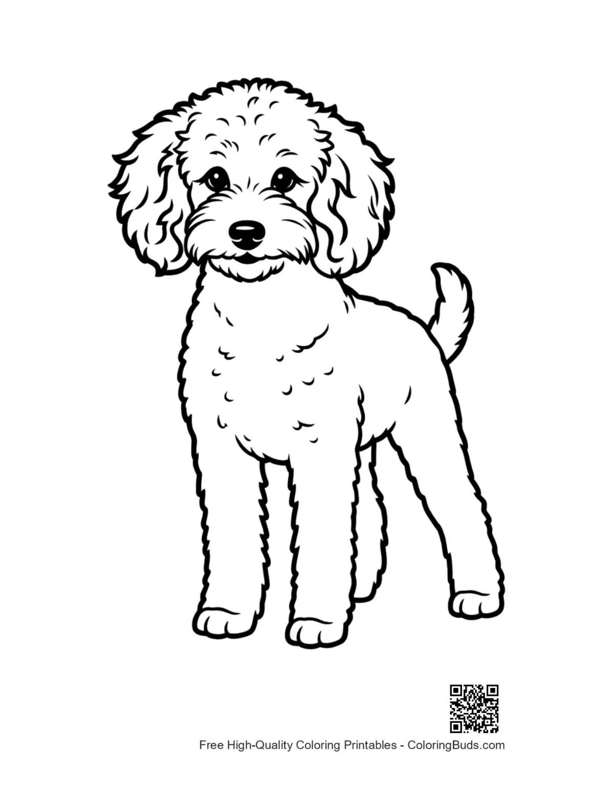 Cute poodle puppy line art outline