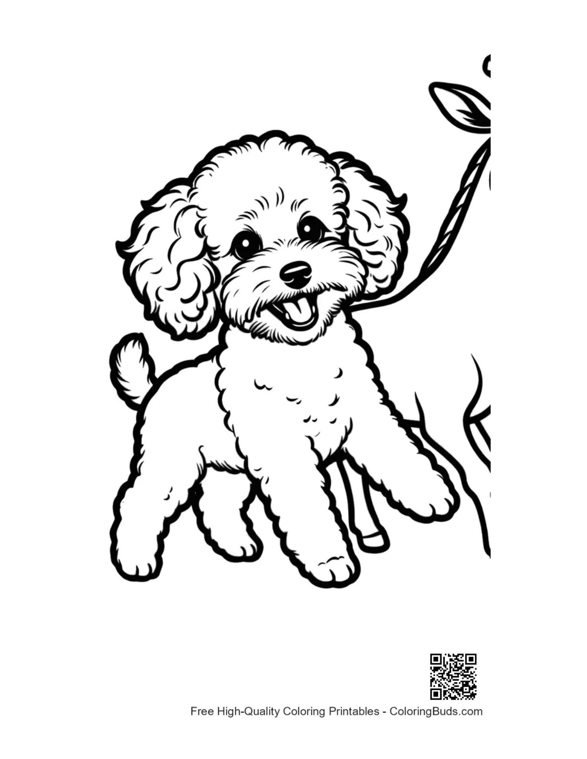 Happy poodle puppy on leash coloring page