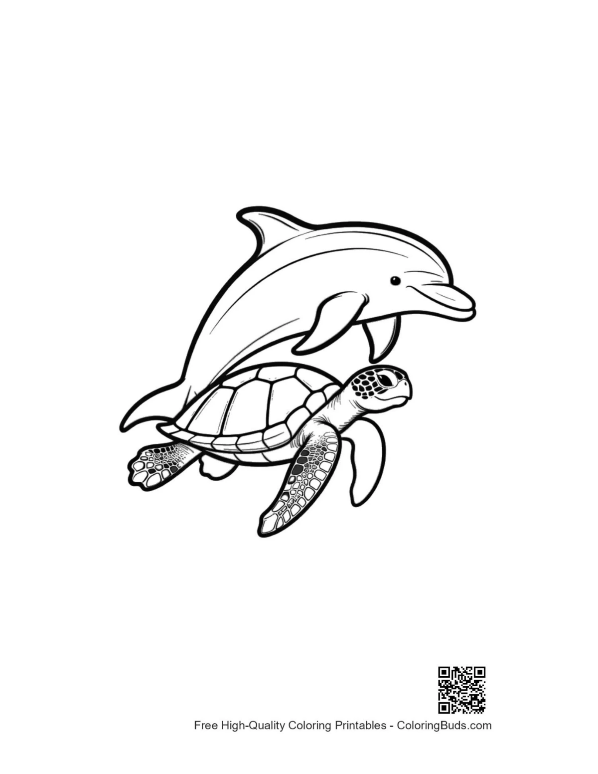 Joyful dolphin leaping over sea turtle outline
