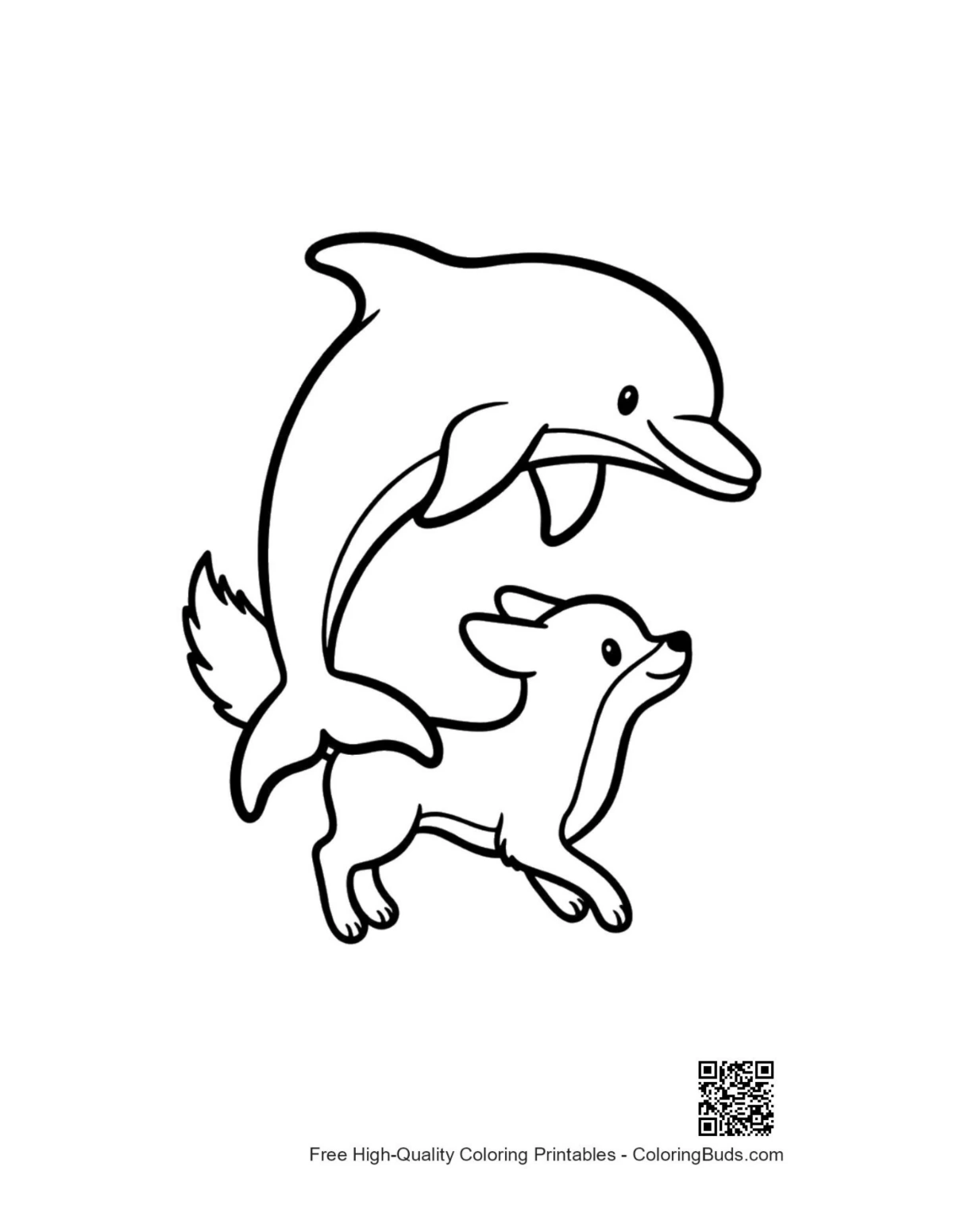 Jumping dolphin leaping with joyful chihuahua