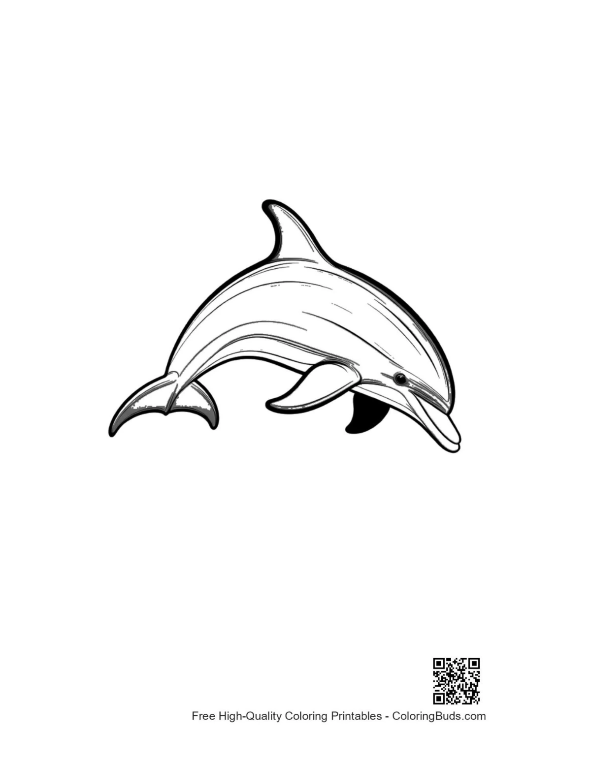 Vibrant jumping dolphin leaping from waves illustration