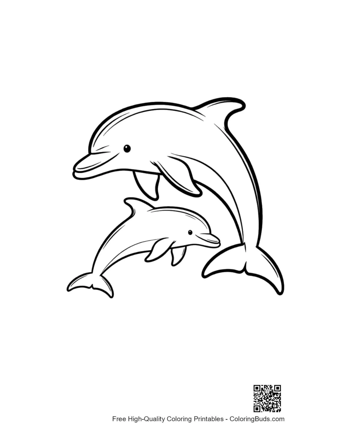 Playful dolphin family leaping joyfully ocean scene