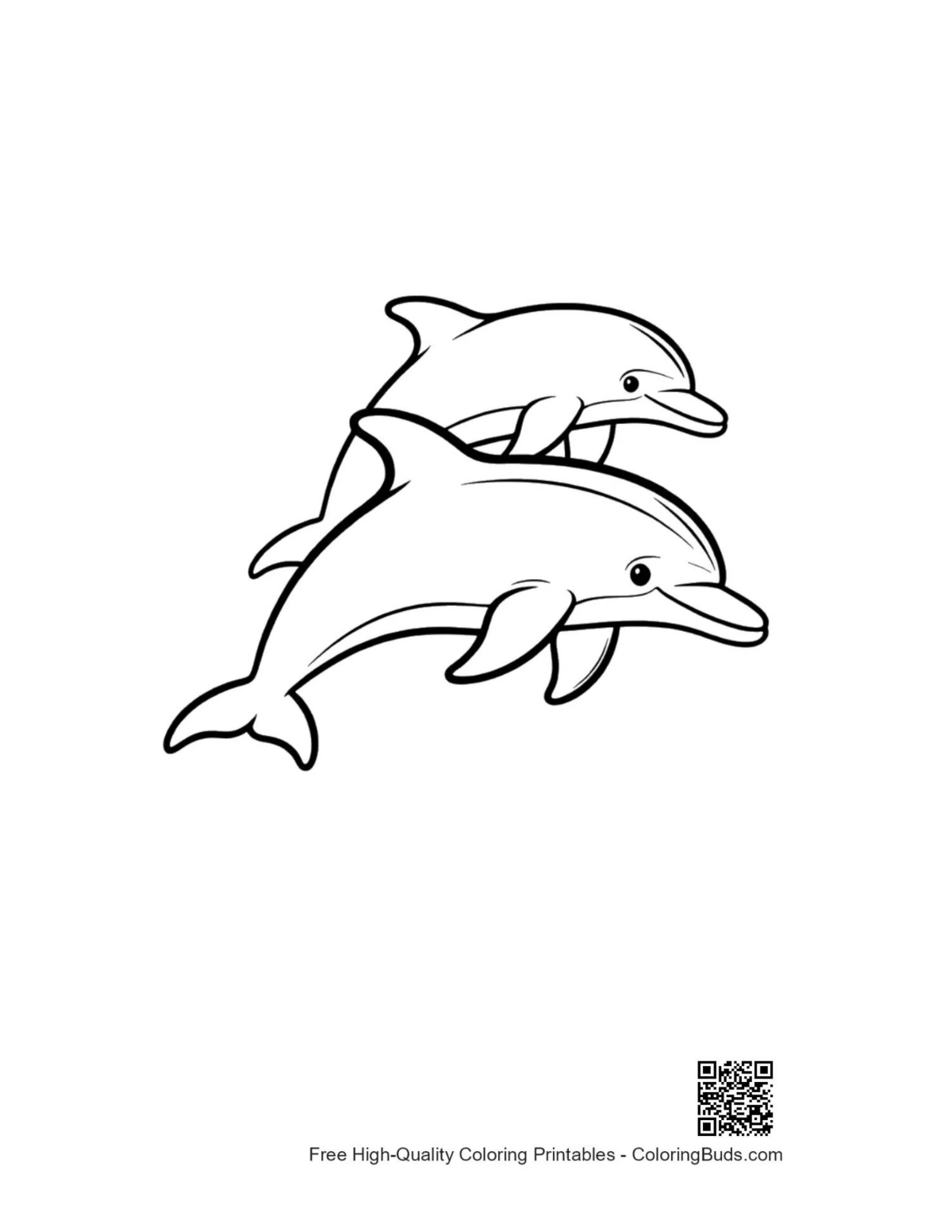 Playful dolphins leaping together sea life coloring page