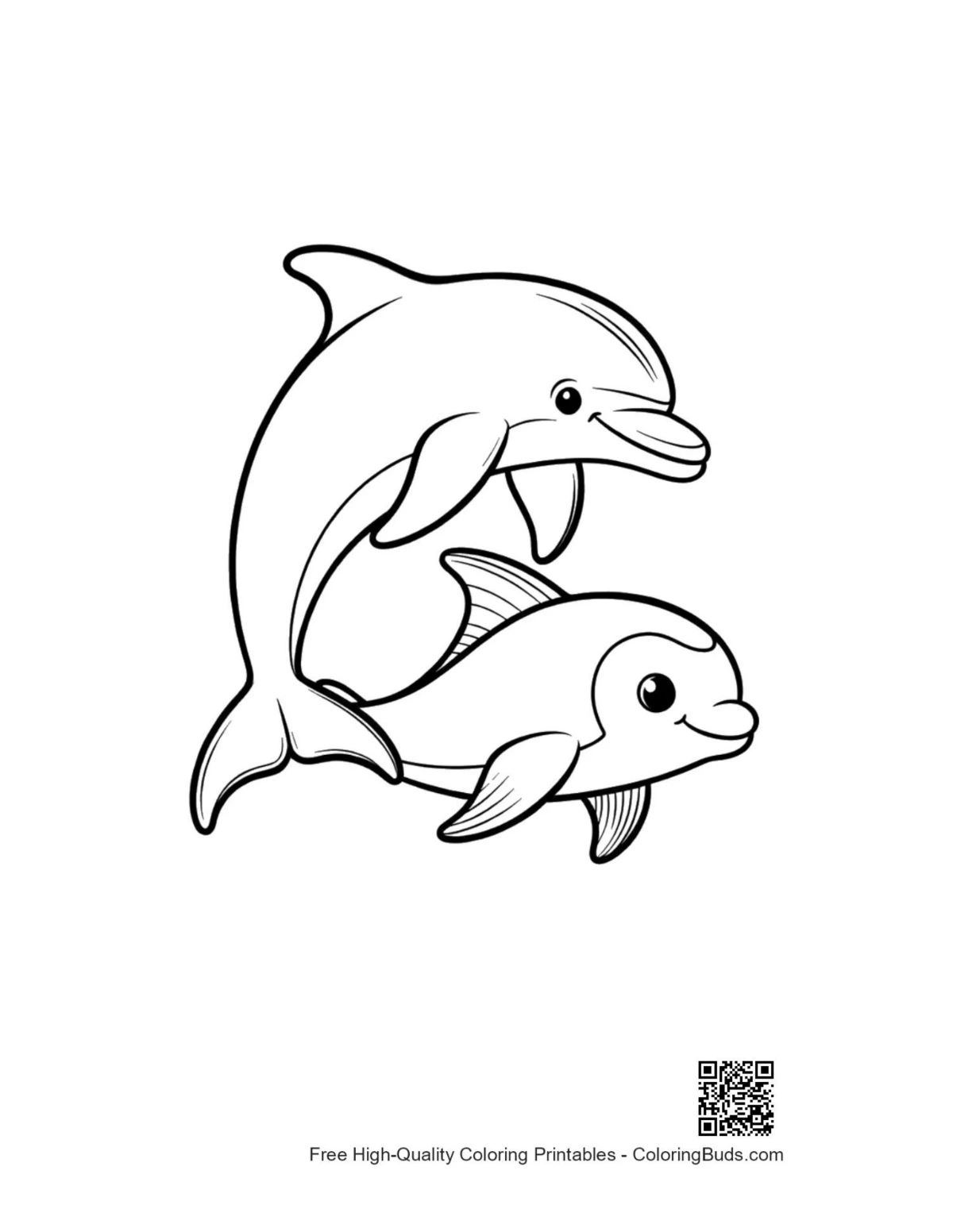 Two playful dolphins leaping joyfully together